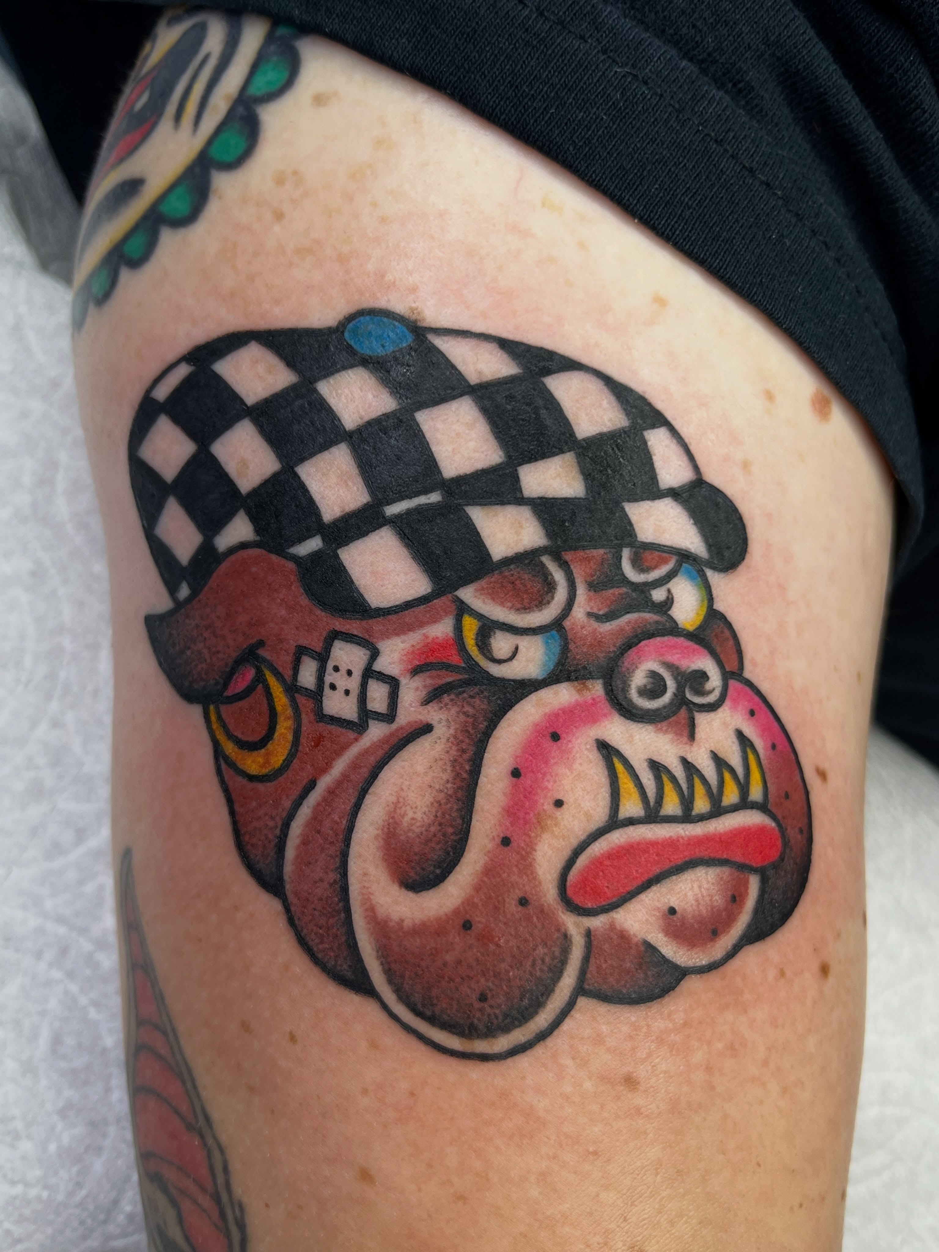 Bulldog with checkered hat American traditional tattoo on the thigh by Sara Atamian, San Diego, California