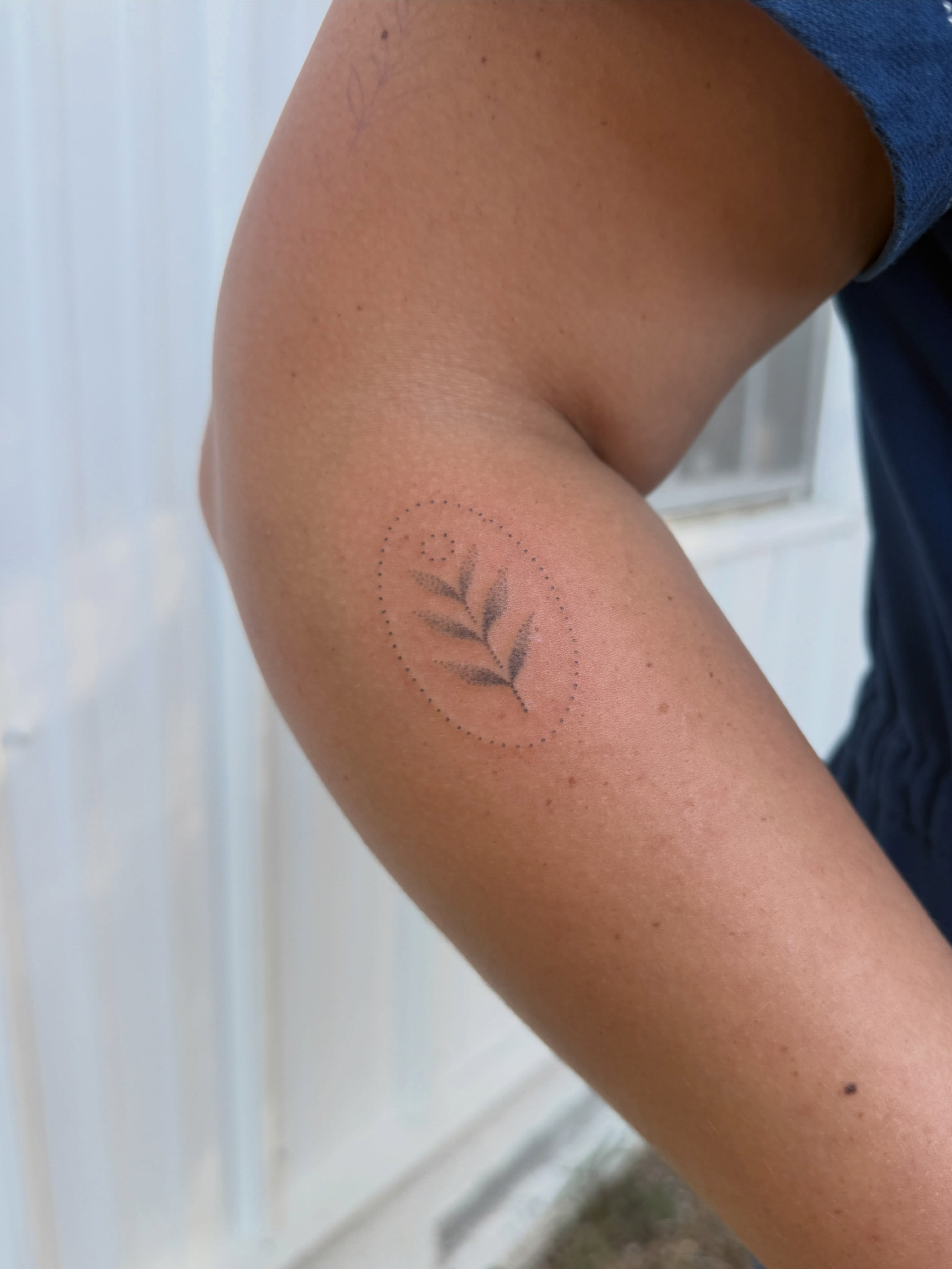 Leaf dotwork tattoo on the forearm by springgreens