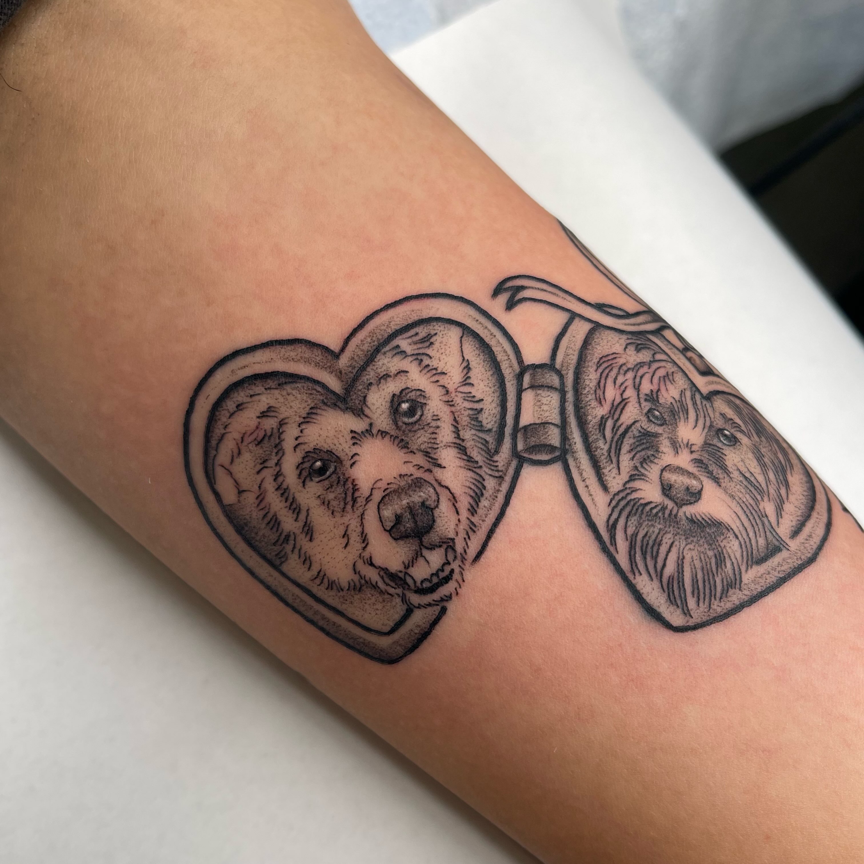 Dogs realism tattoo on the forearm by Allison Gallagher