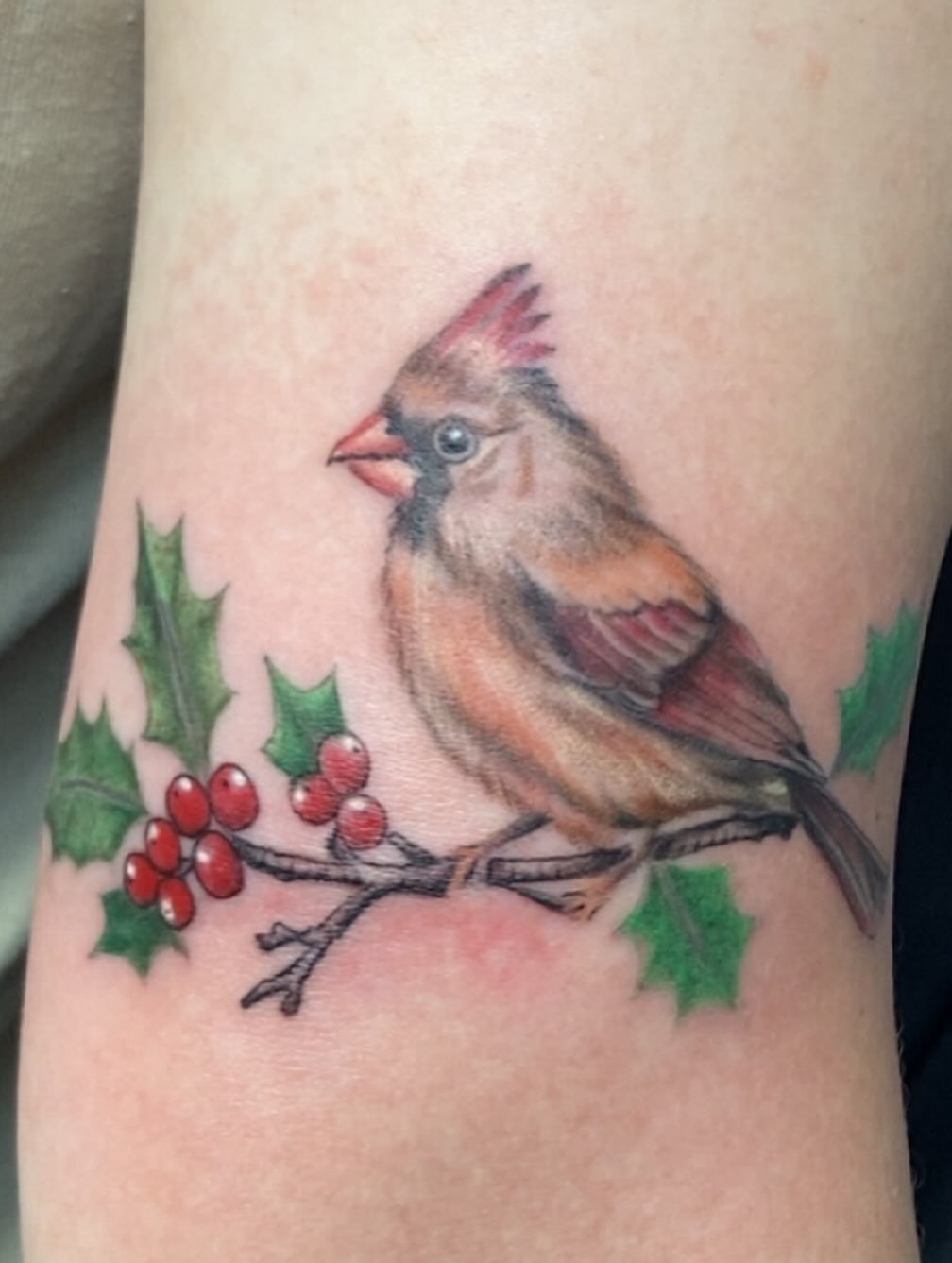 Cardinal bird realism tattoo on the forearm by Erin McGloin