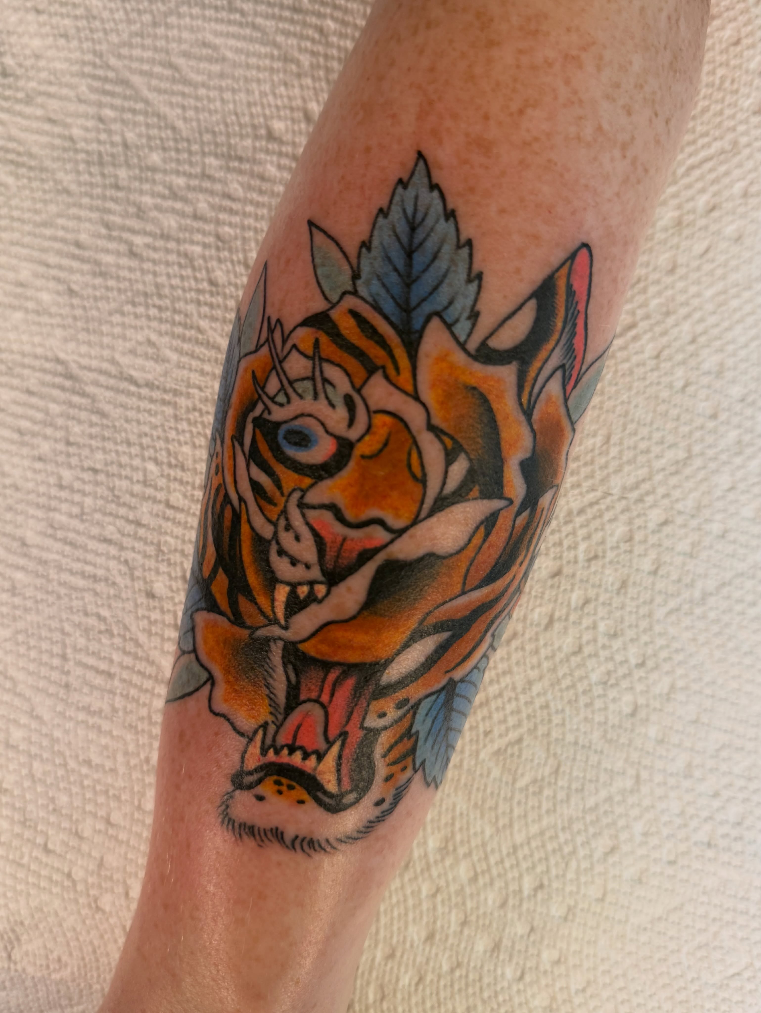 Tiger American traditional tattoo on the forearm by Scott Kulikowski
