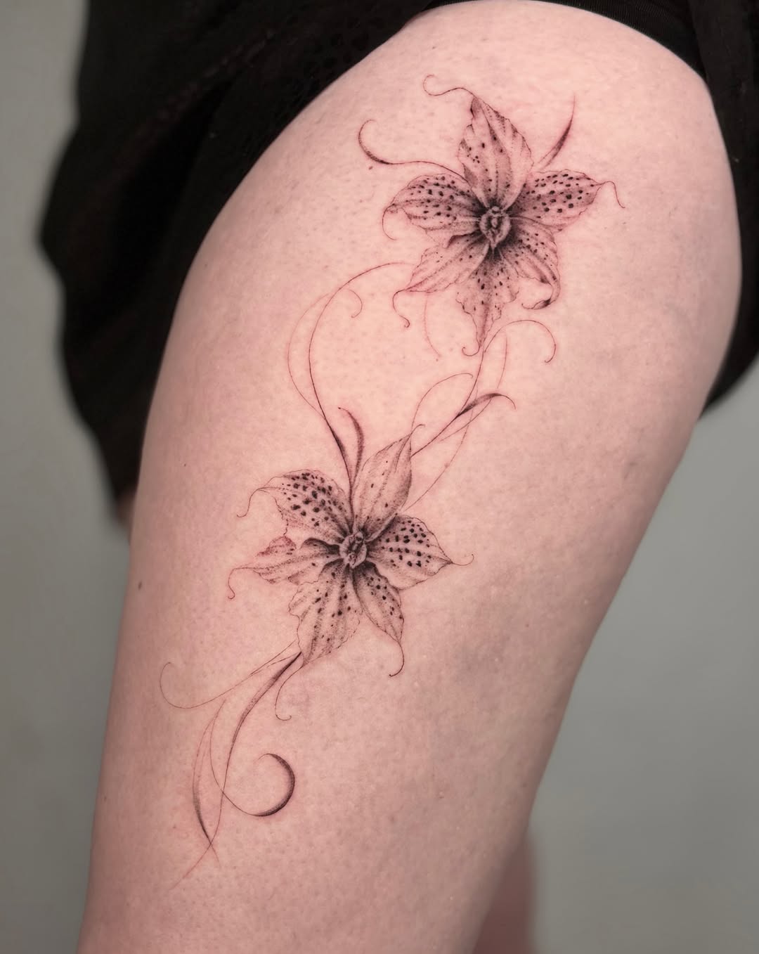 Tattoo by @finickyink — dotwork, black_and_grey