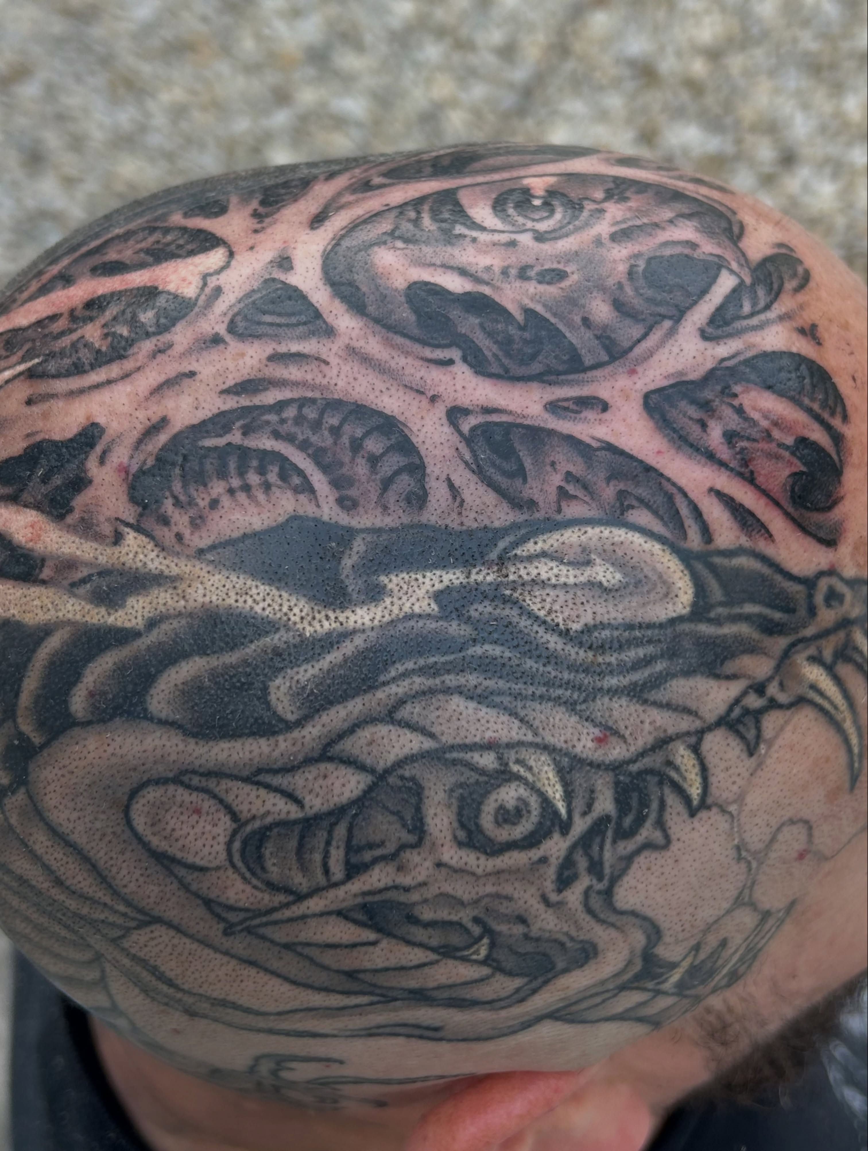 Tree dotwork tattoo on the head by Craig Gardyan