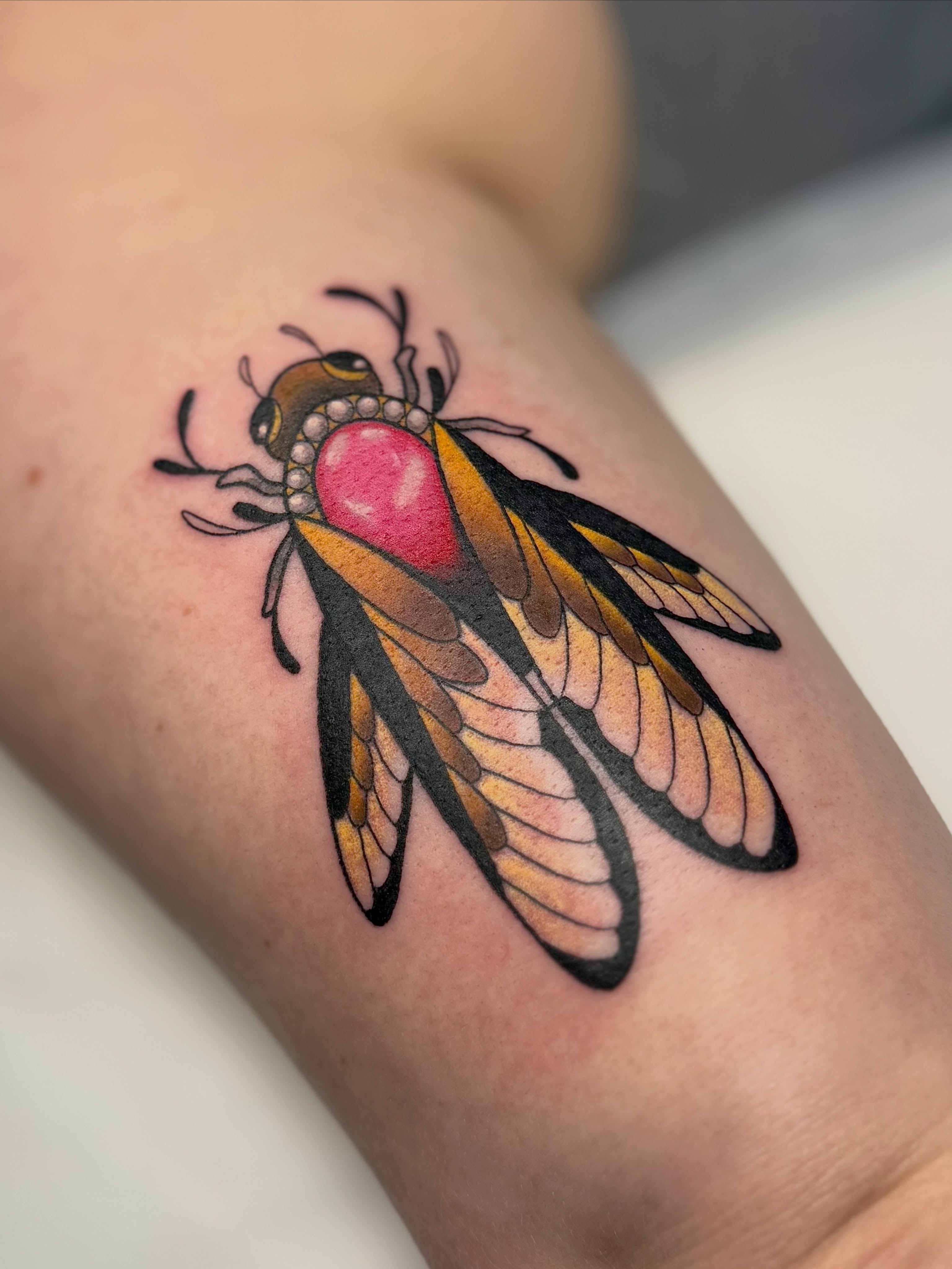 Cicada realism tattoo on the forearm by Kyndall Lynn, Waxahachie, Texas