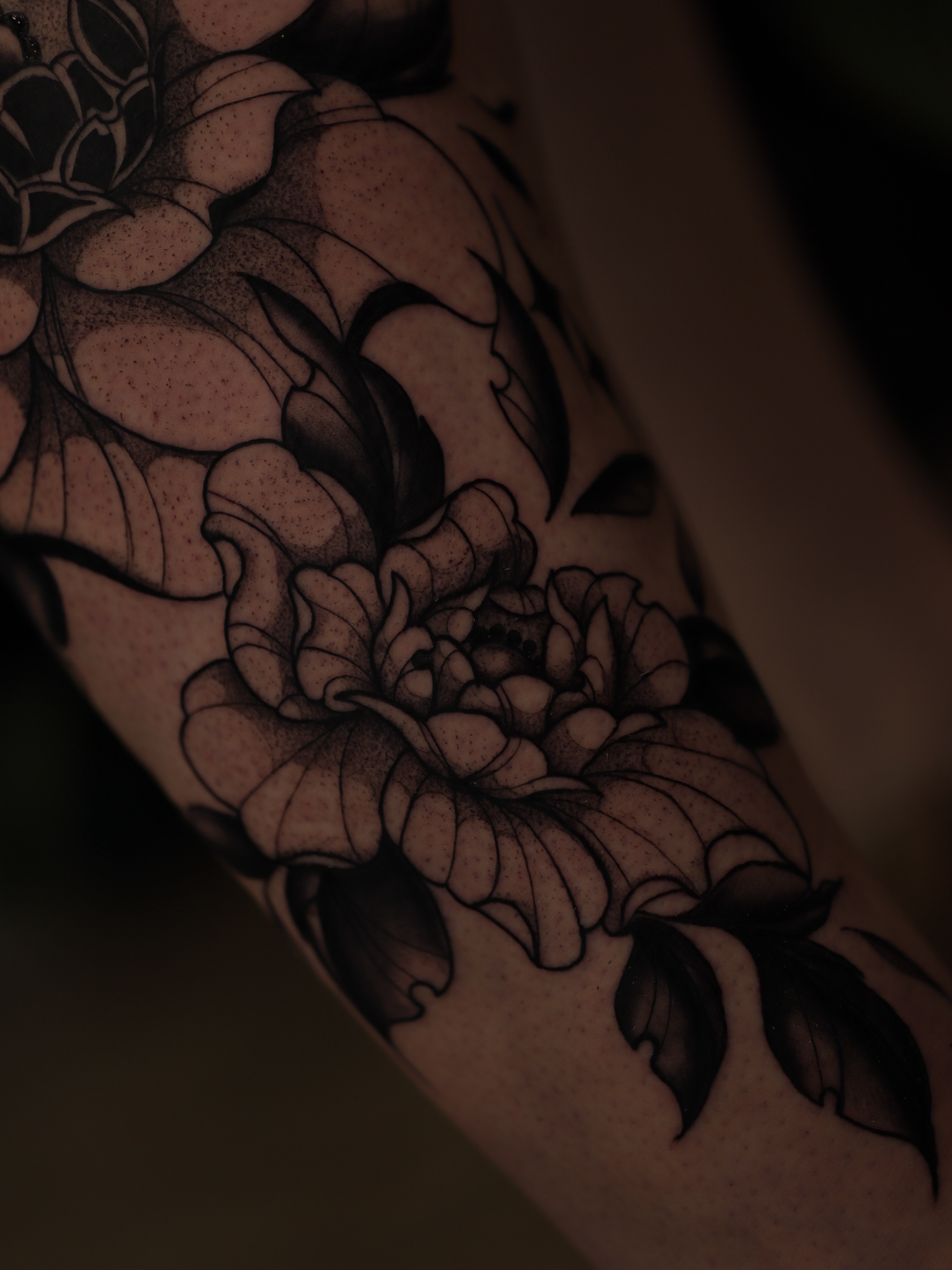 Tattoo by @jackinthebox.tattoos — dotwork