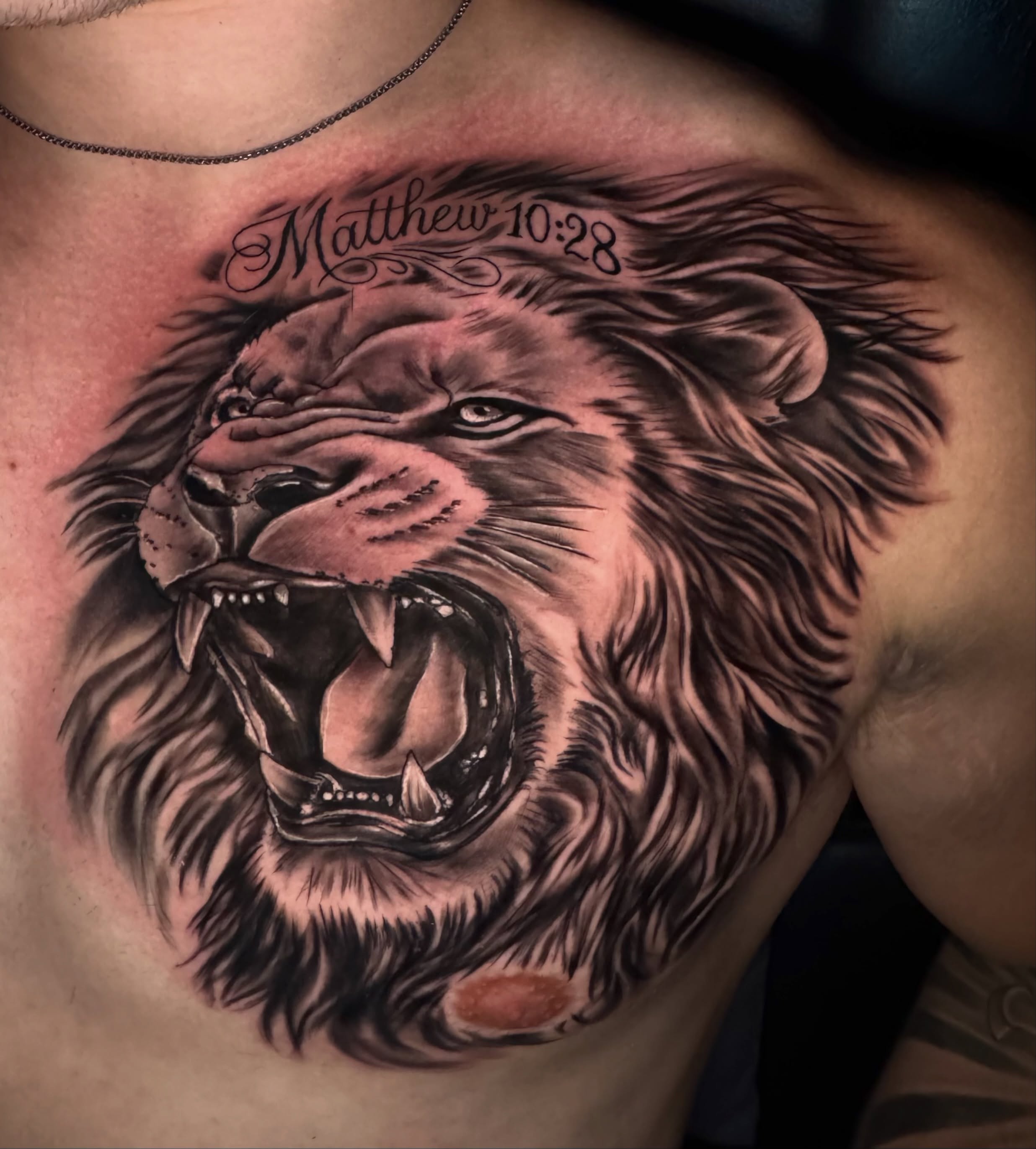 Roaring lion realism tattoo on the chest by Zeus