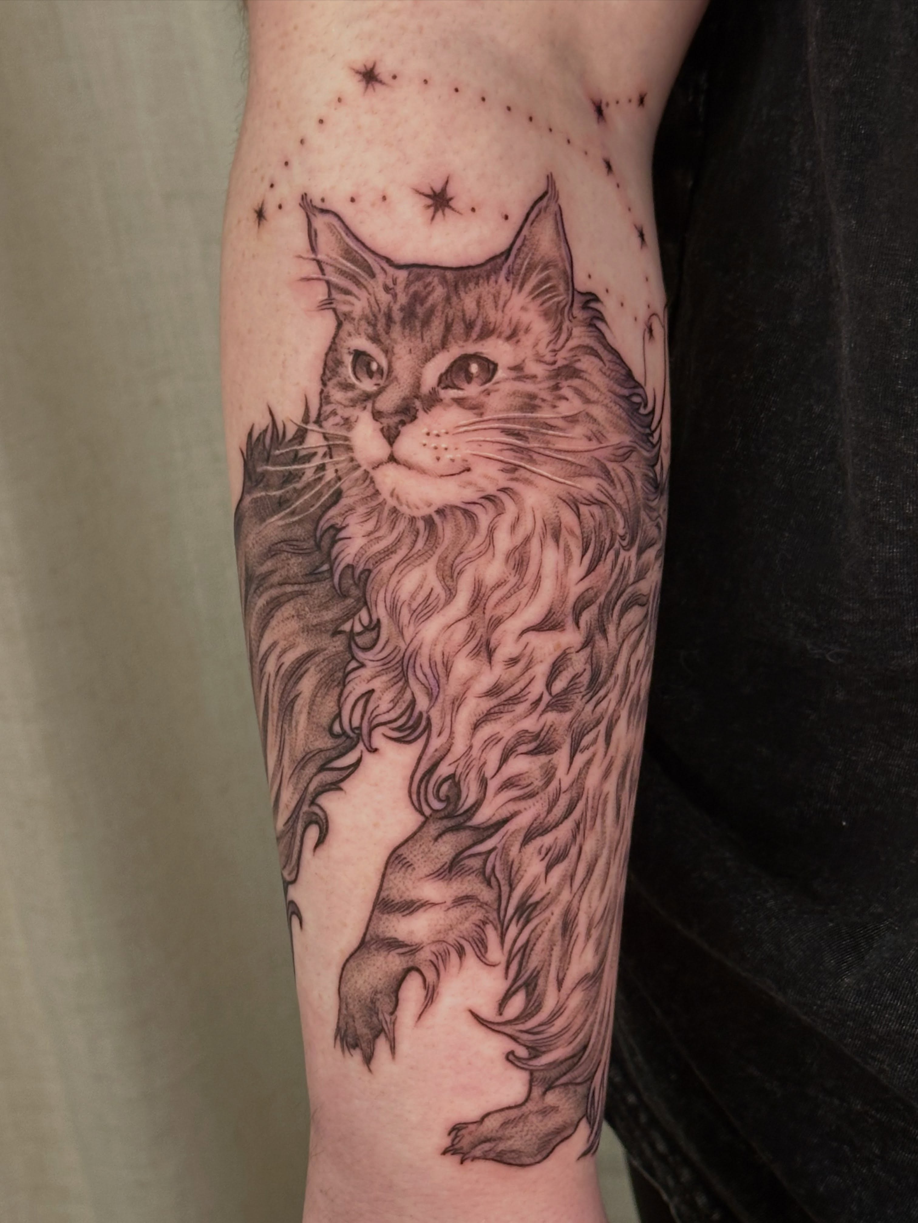 Cat realism tattoo on the forearm by ɪᴍᴏɢᴇɴ 🏳️🌈 sᴇᴀᴛᴛʟᴇ ᴛᴀᴛᴛᴏᴏ ᴀʀᴛɪsᴛ, Seattle, Washington