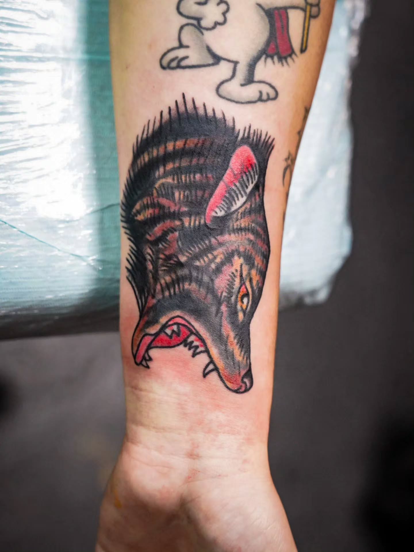 Wolf American traditional tattoo on the forearm by Spicoli