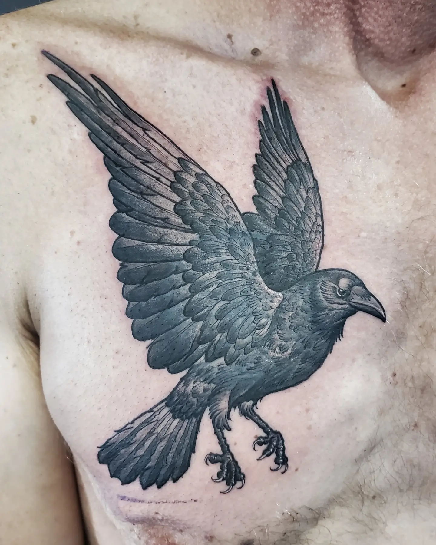 Tattoo by @rexroxwell — black_and_grey