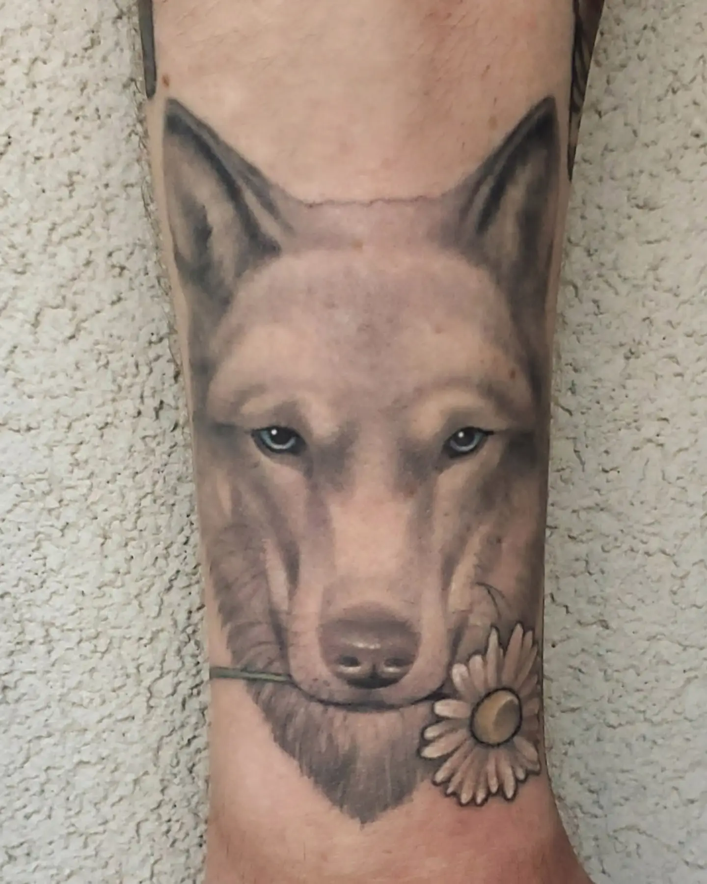 Tattoo by @rexroxwell — realism