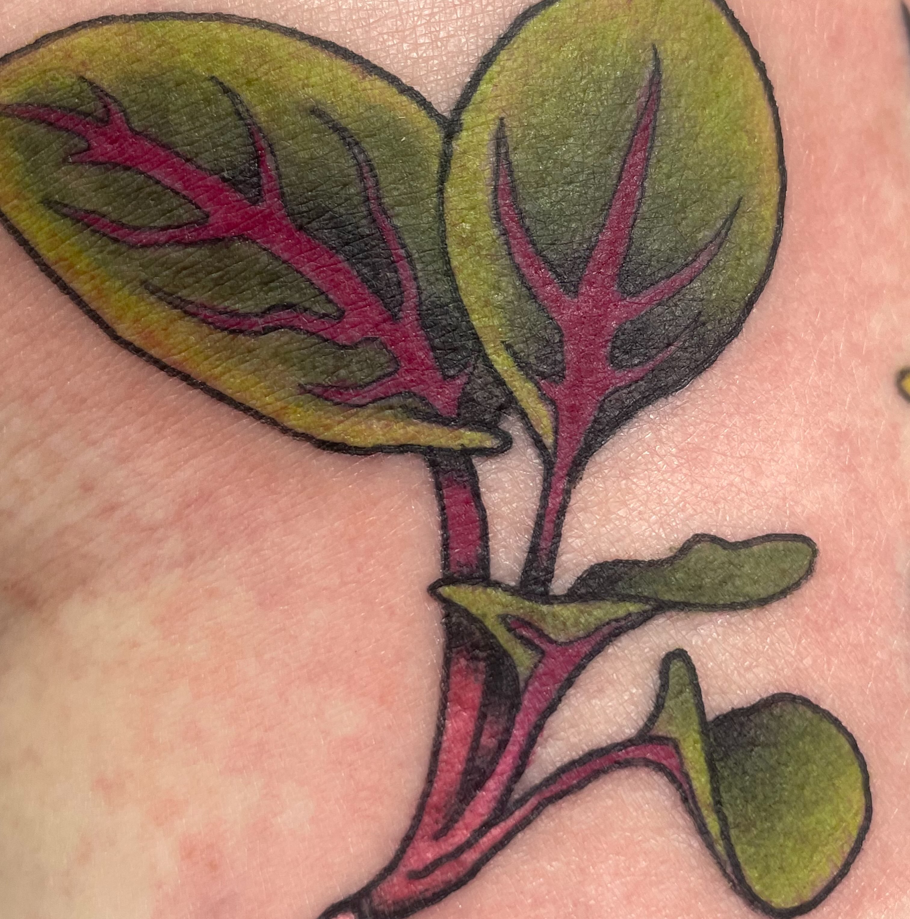 Tattoo by @ek_badboy — neo_traditional