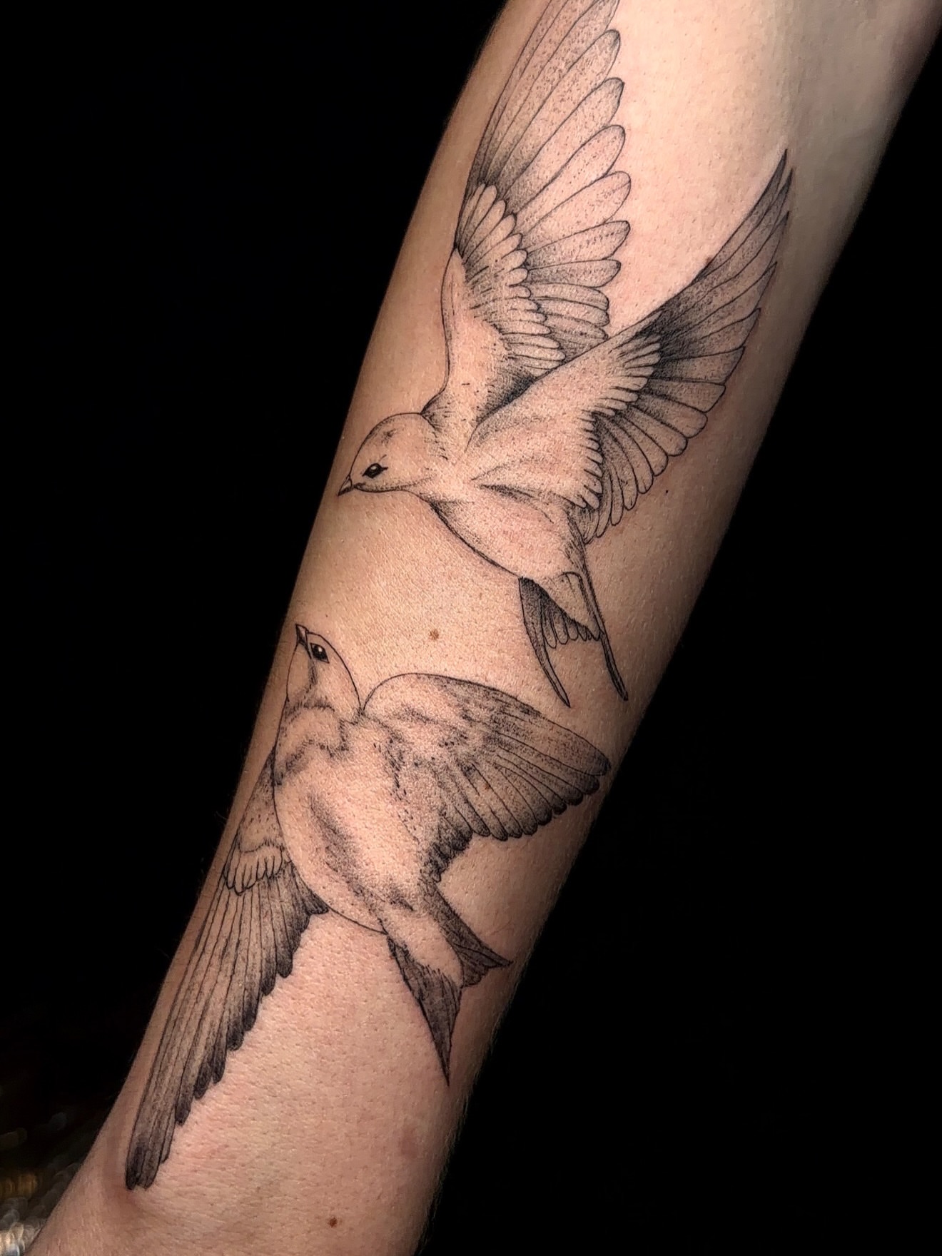 Birds realism tattoo on the forearm by Jacksyn, Plano, Texas