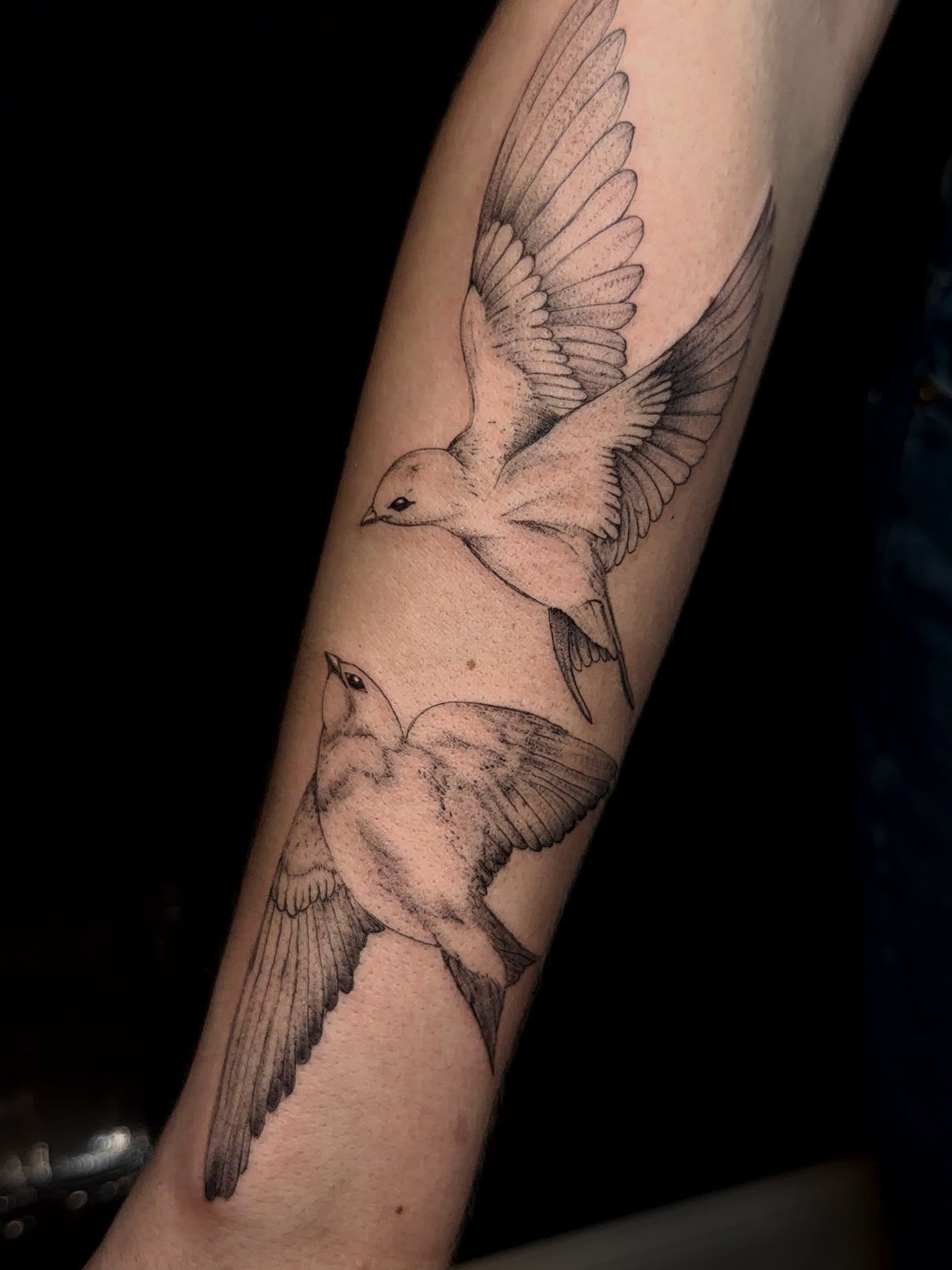 Birds dotwork tattoo on the forearm by Jacksyn, Plano, Texas