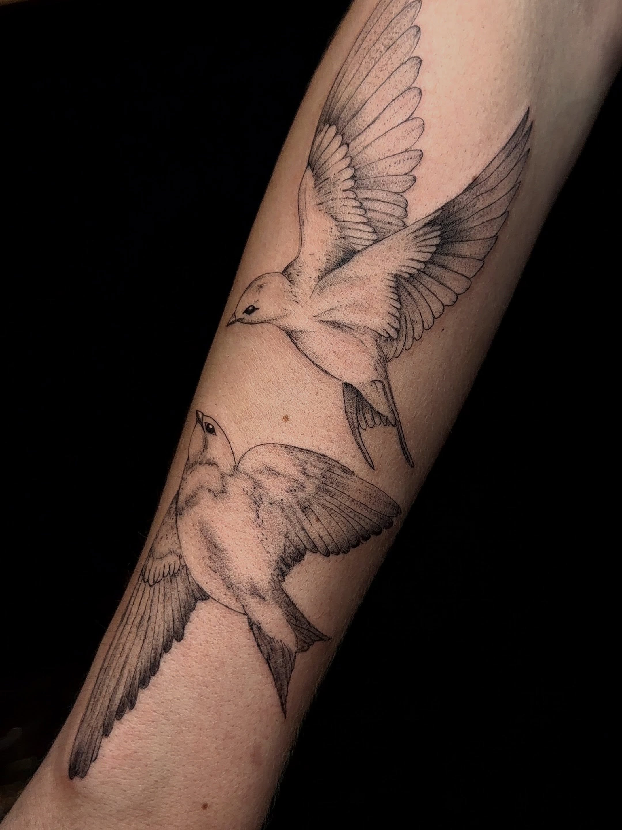 Birds dotwork tattoo on the forearm by Jacksyn, Plano, Texas
