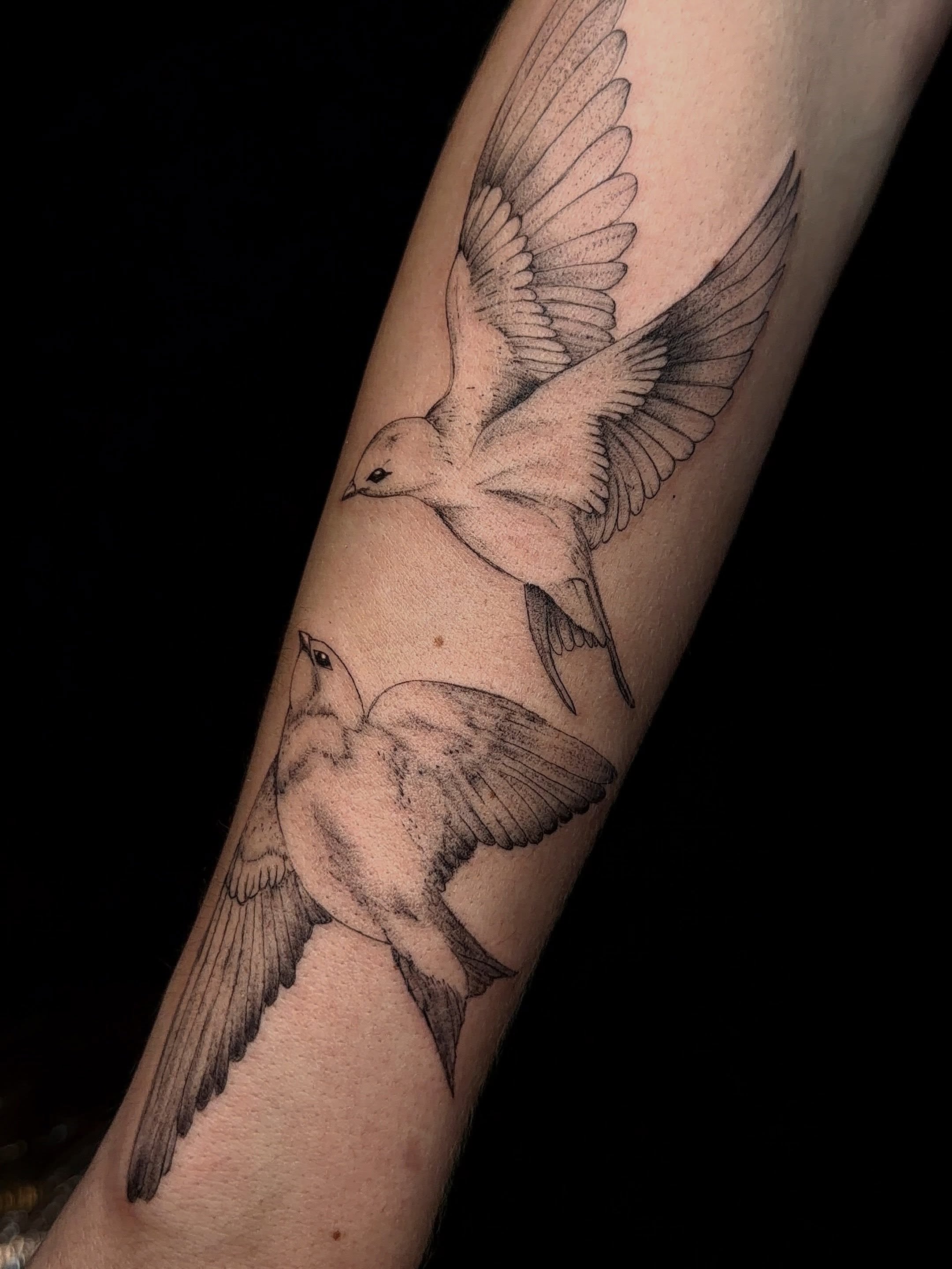 Birds black and grey tattoo on the forearm by Jacksyn, Plano, Texas