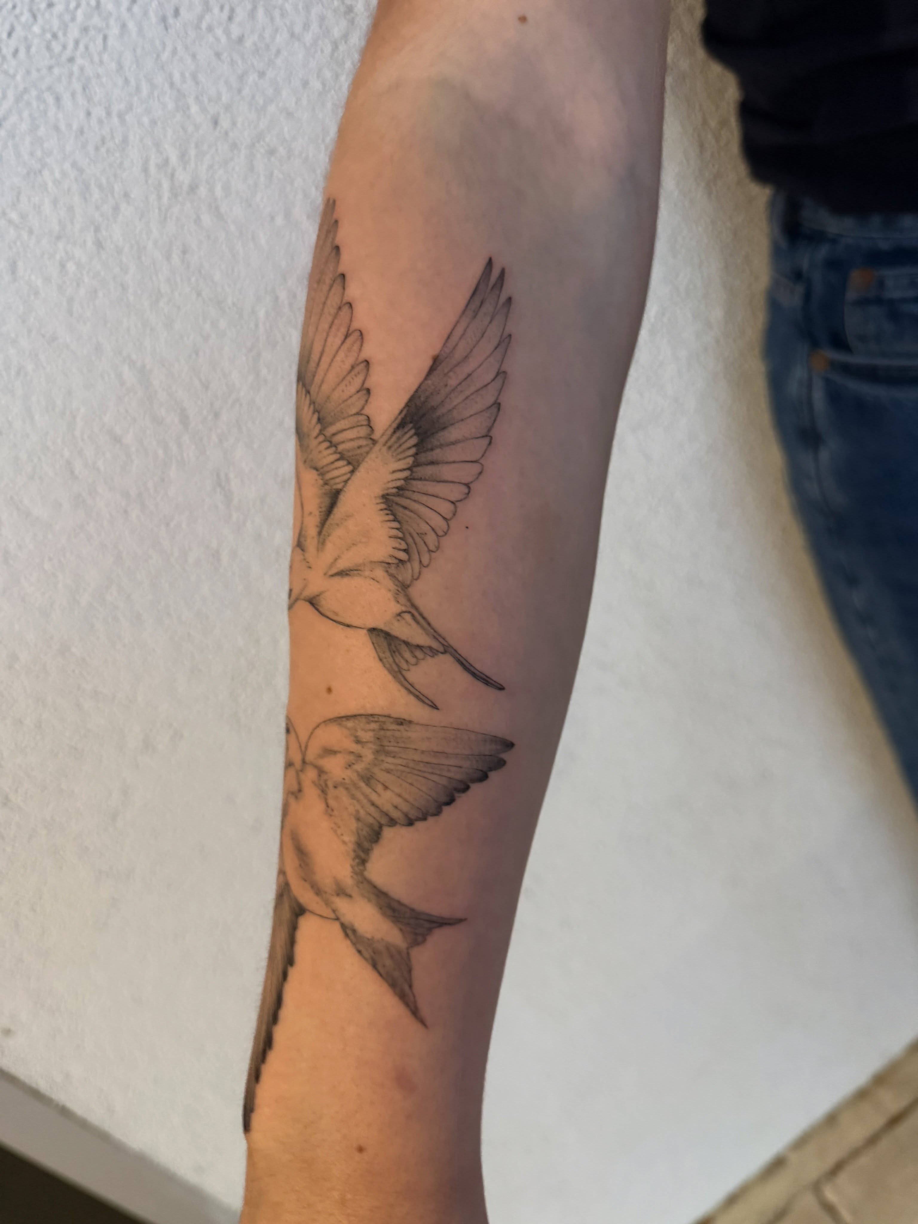 Swallows black and grey tattoo on the forearm by Jacksyn, Plano, Texas