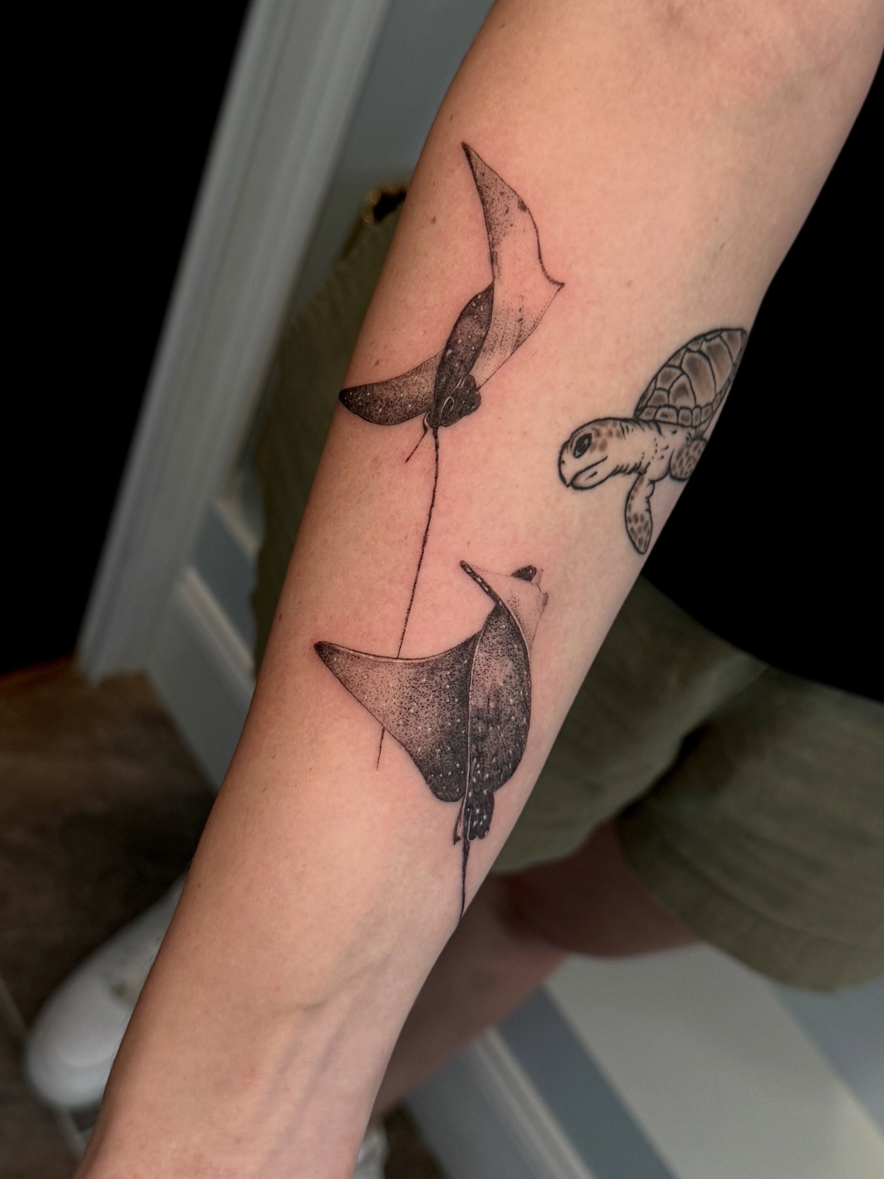 Rays and turtle black and grey tattoo on the forearm by Ana Blatt