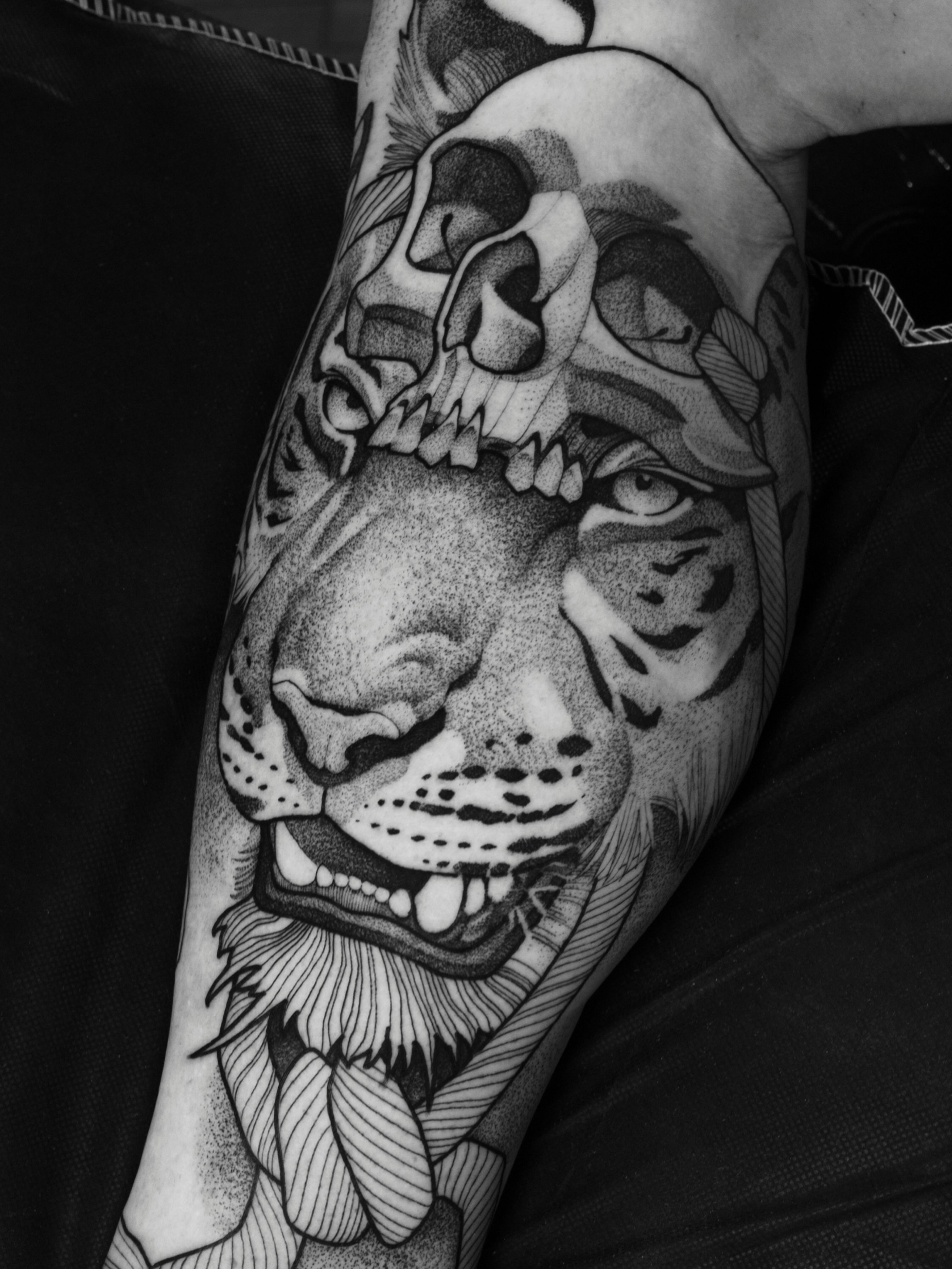 Tiger dotwork tattoo on the forearm by Craig St Peter, Kansas City, Missouri
