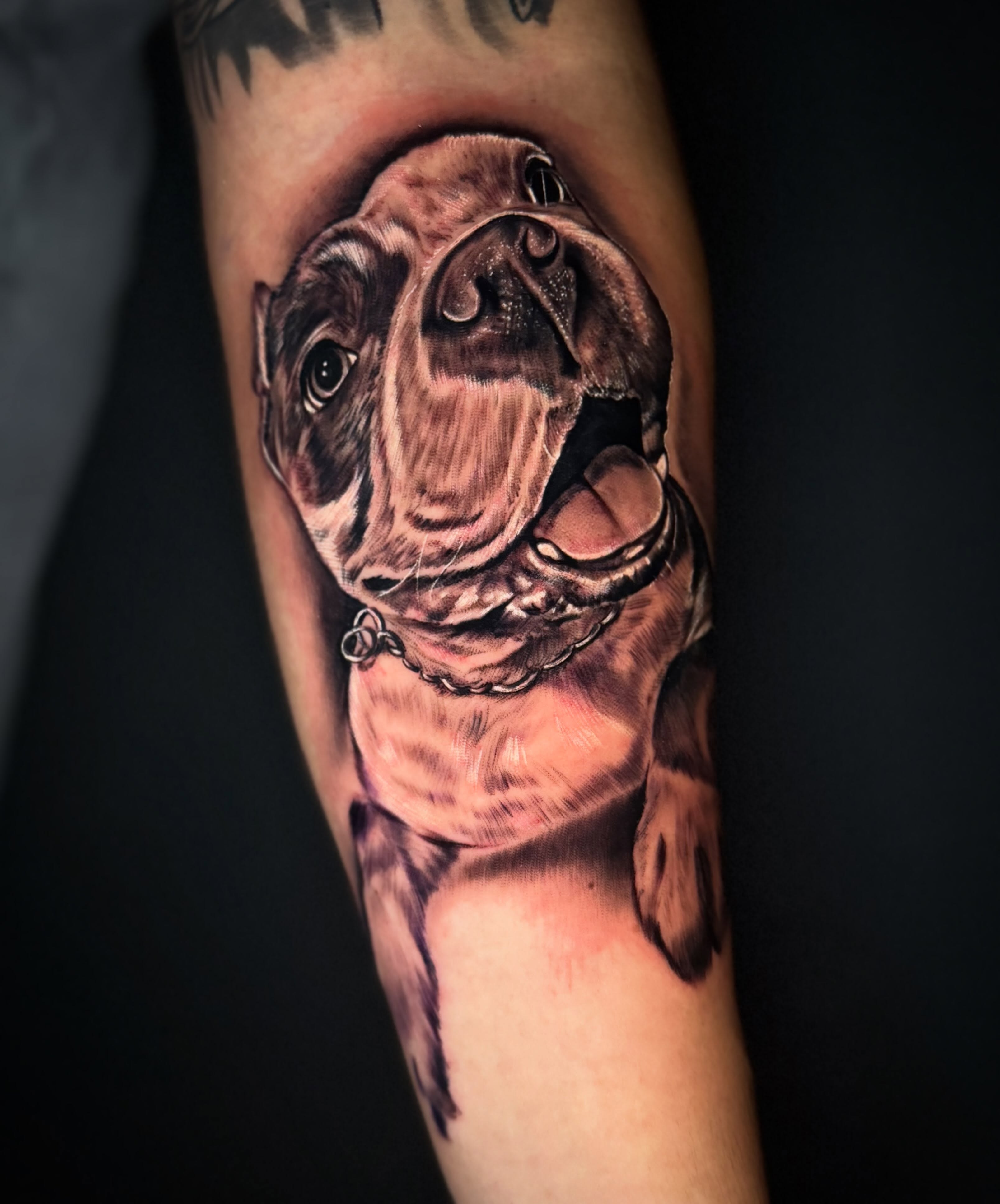 Bulldog realism tattoo on the forearm by Eric Zuluaga