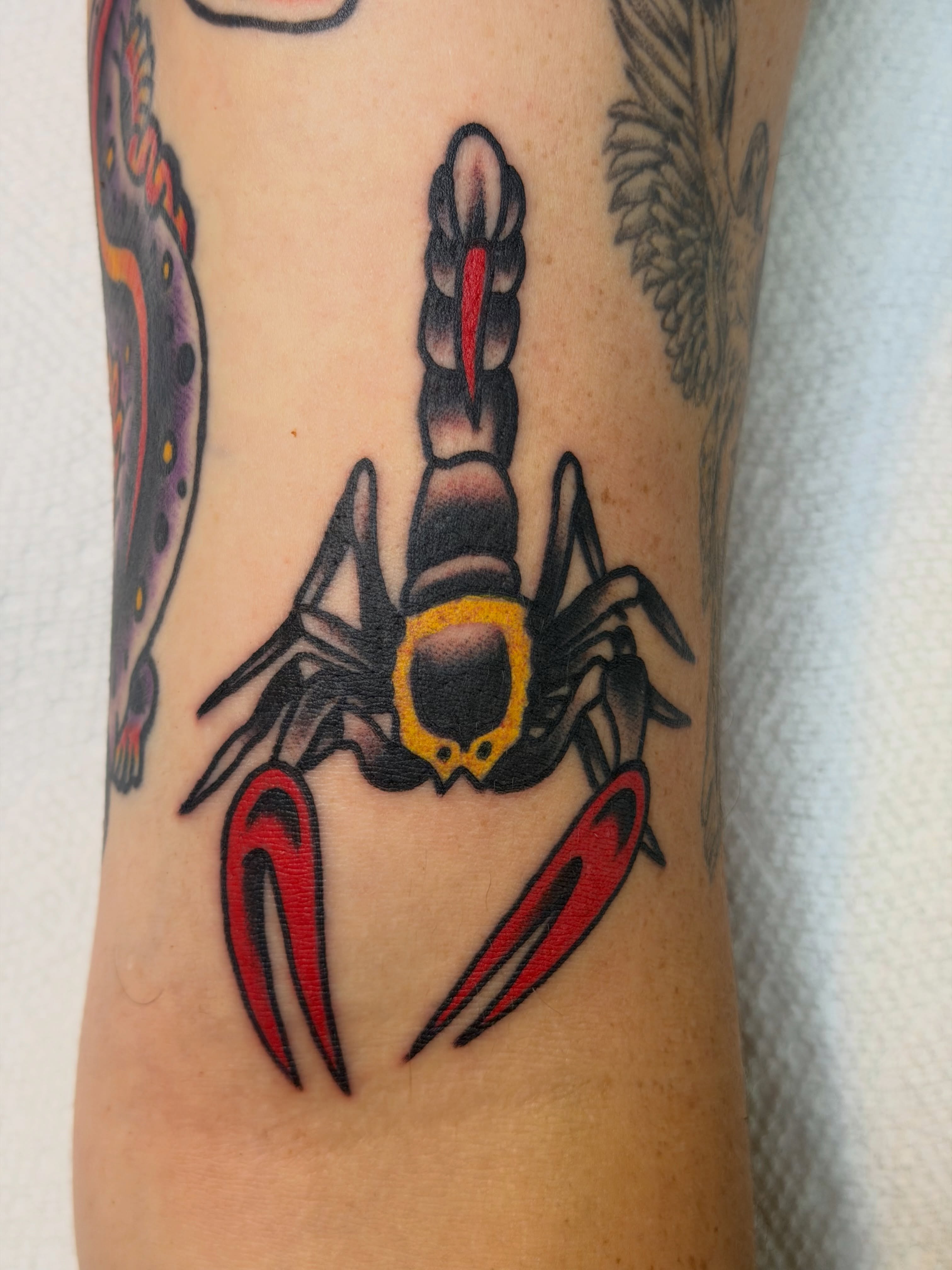 Scorpion American traditional tattoo on the forearm by 🌈KNOXVILLE’S FAVORITE TATTOO ARTIST 👽 마법 버섯