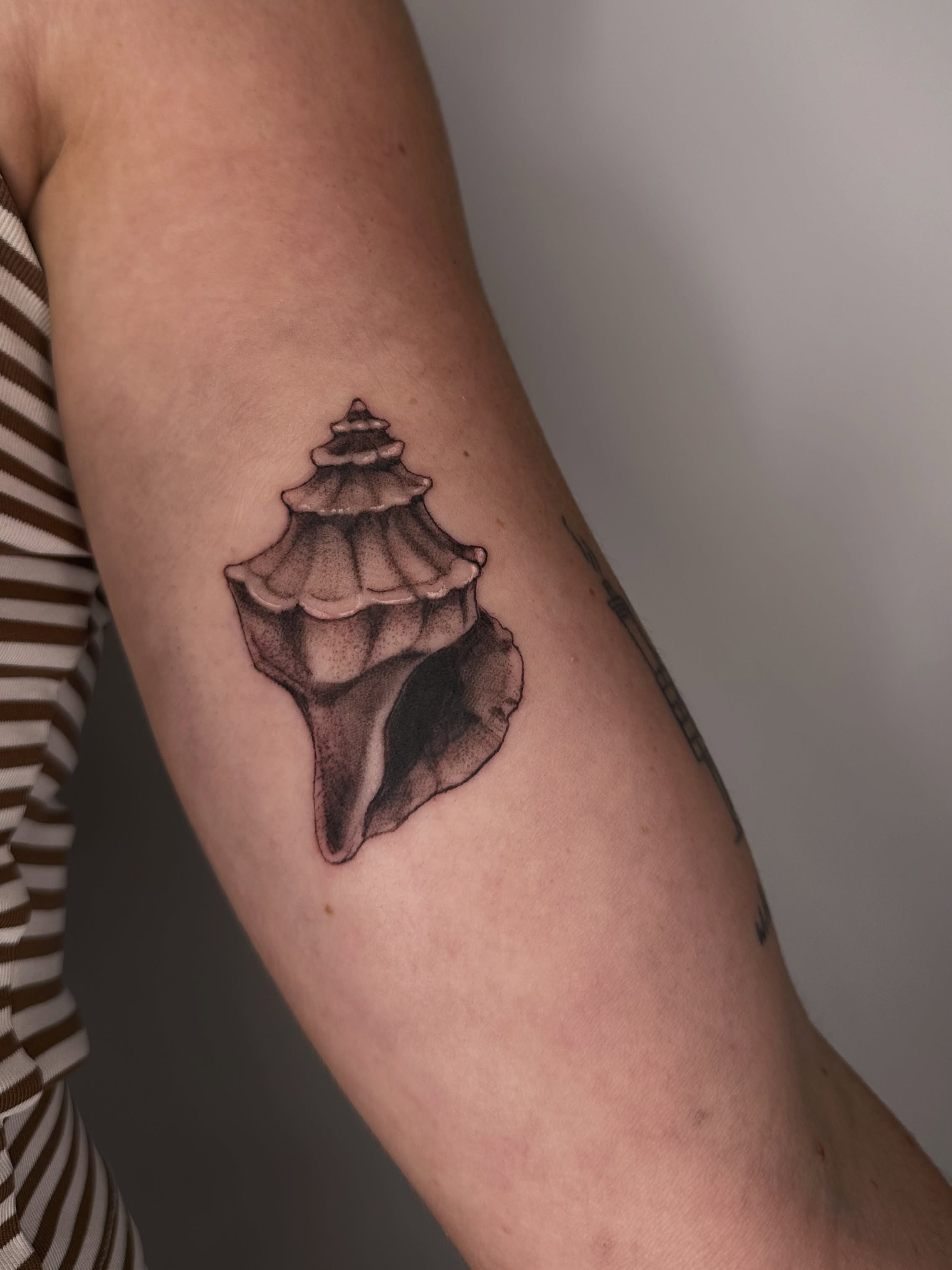 Shell black and grey tattoo on the forearm by Sadie Spades Philly Tattoos