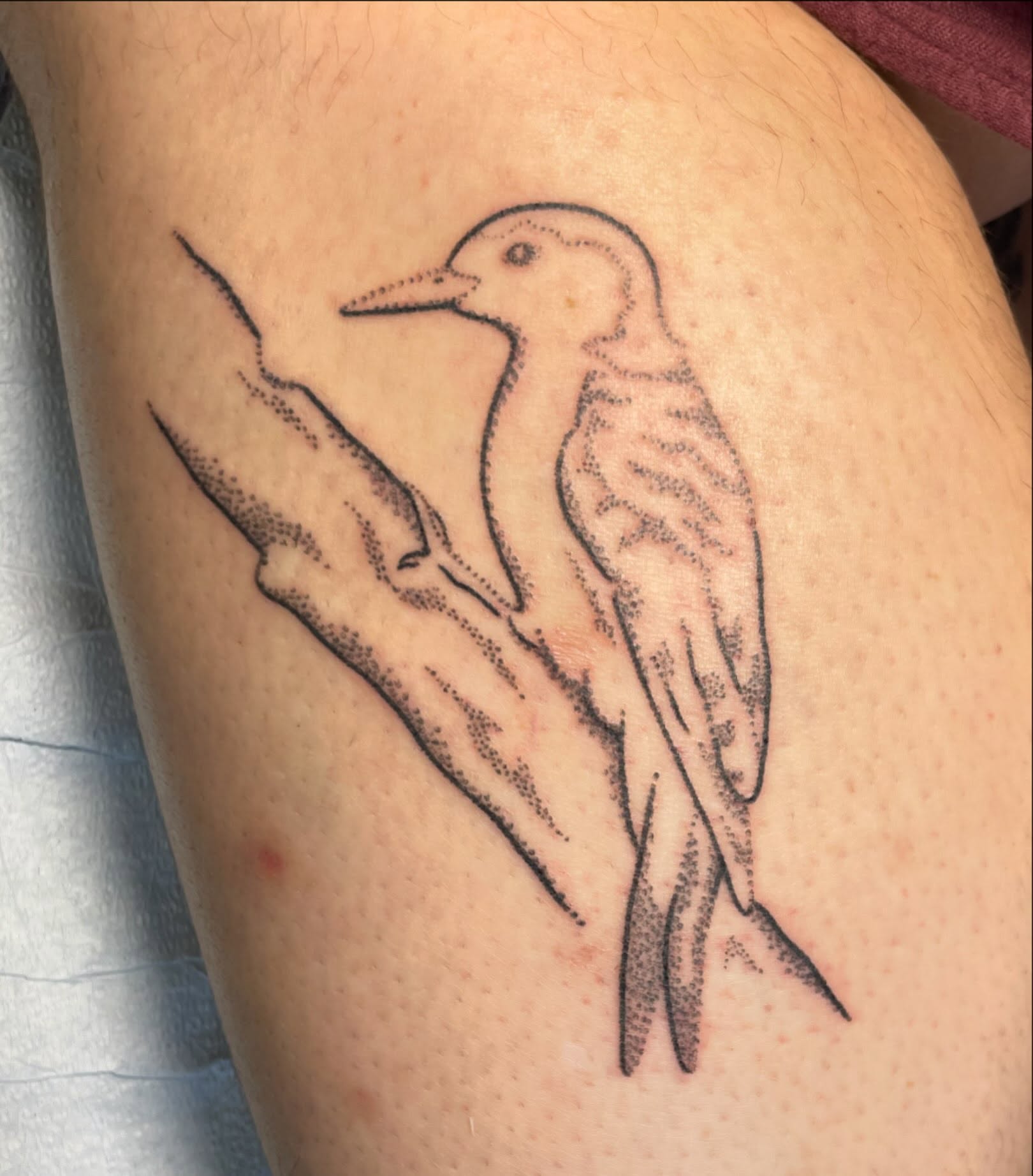 Bird dotwork tattoo on the thigh by Quin