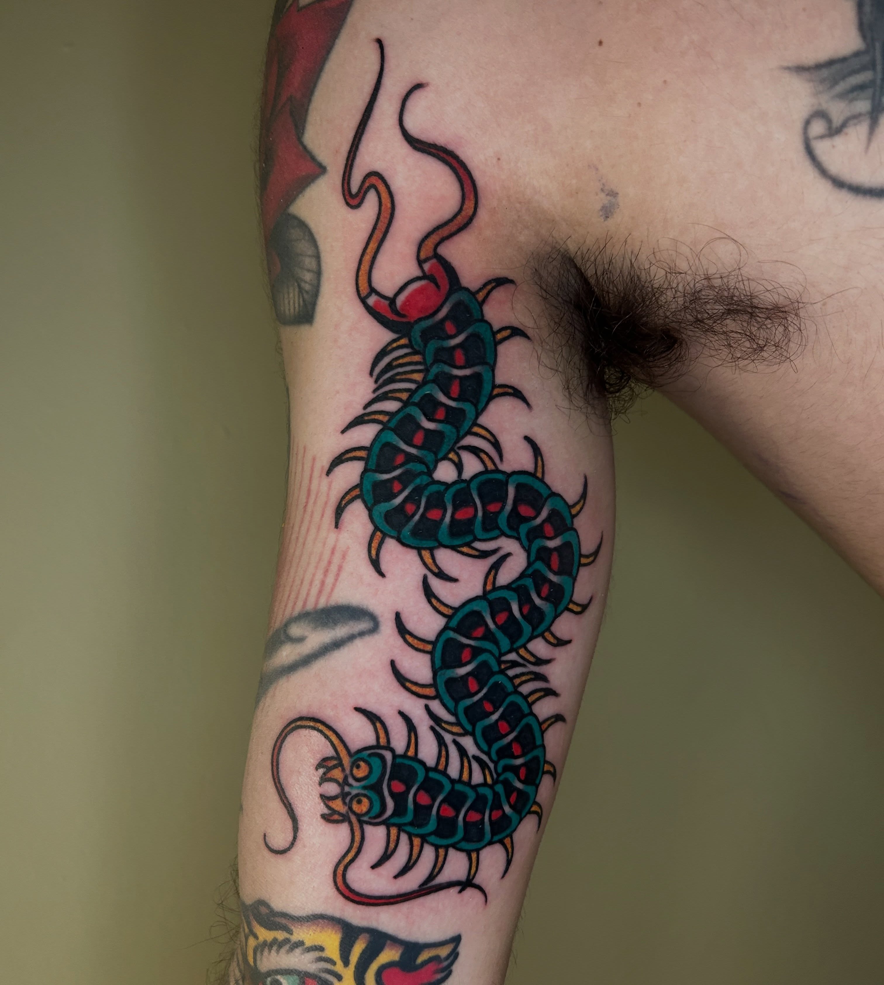 Centipede American traditional tattoo on the forearm by Cassy D, Miami, Florida