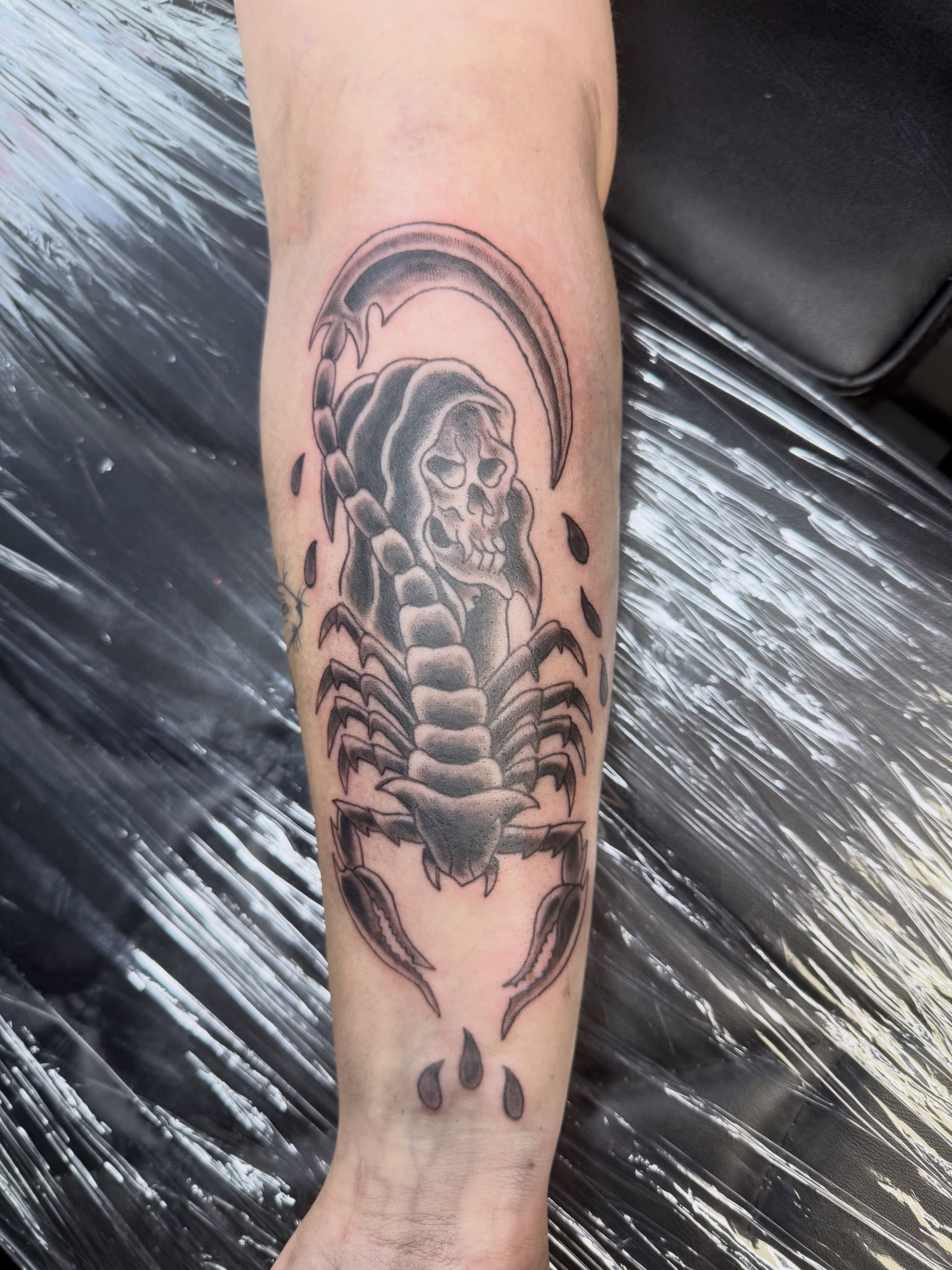 Scorpion and skull black and grey tattoo on the forearm by Liz🗡️Fort Collins🗡️Tattoo Apprentice