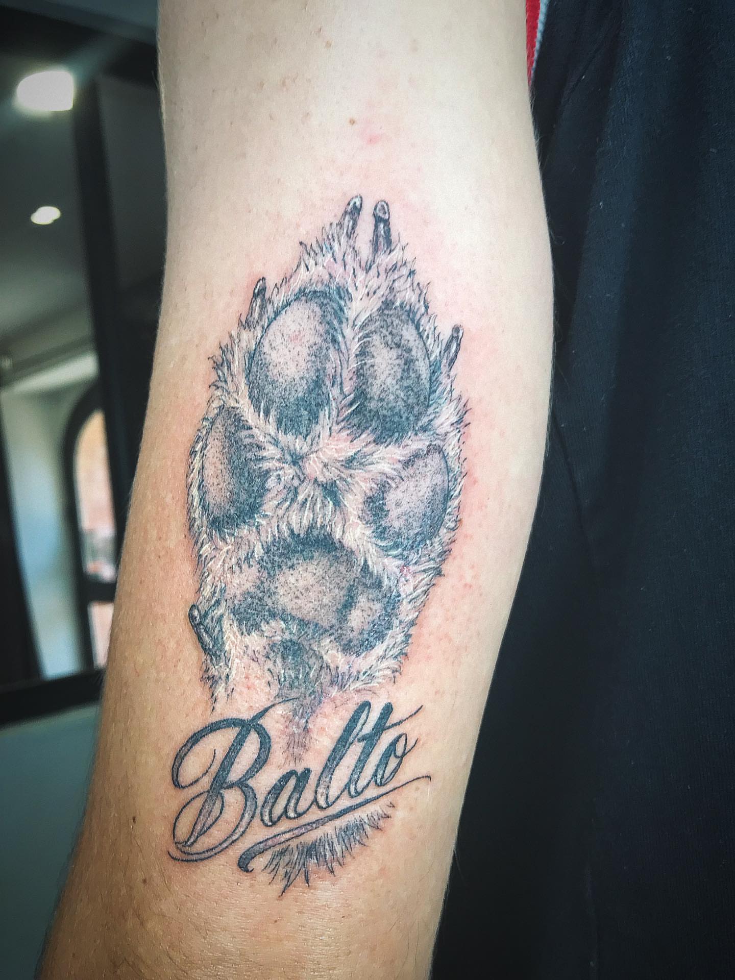 Paw print black and grey tattoo on the forearm by Moss Quito Tattoo