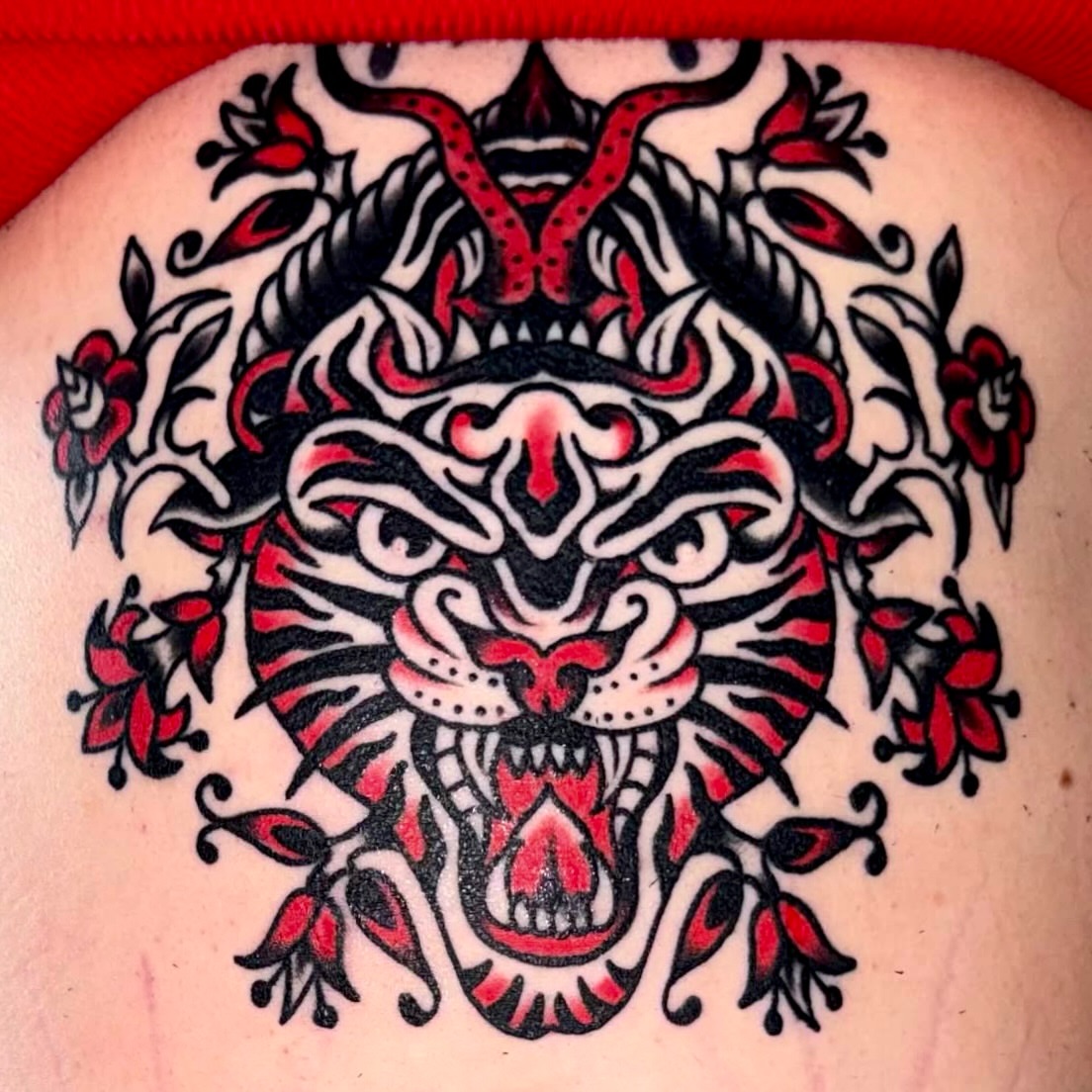 Tiger head American traditional tattoo on the shoulder by Kiki Painmaker Trad Tattooer 🧨