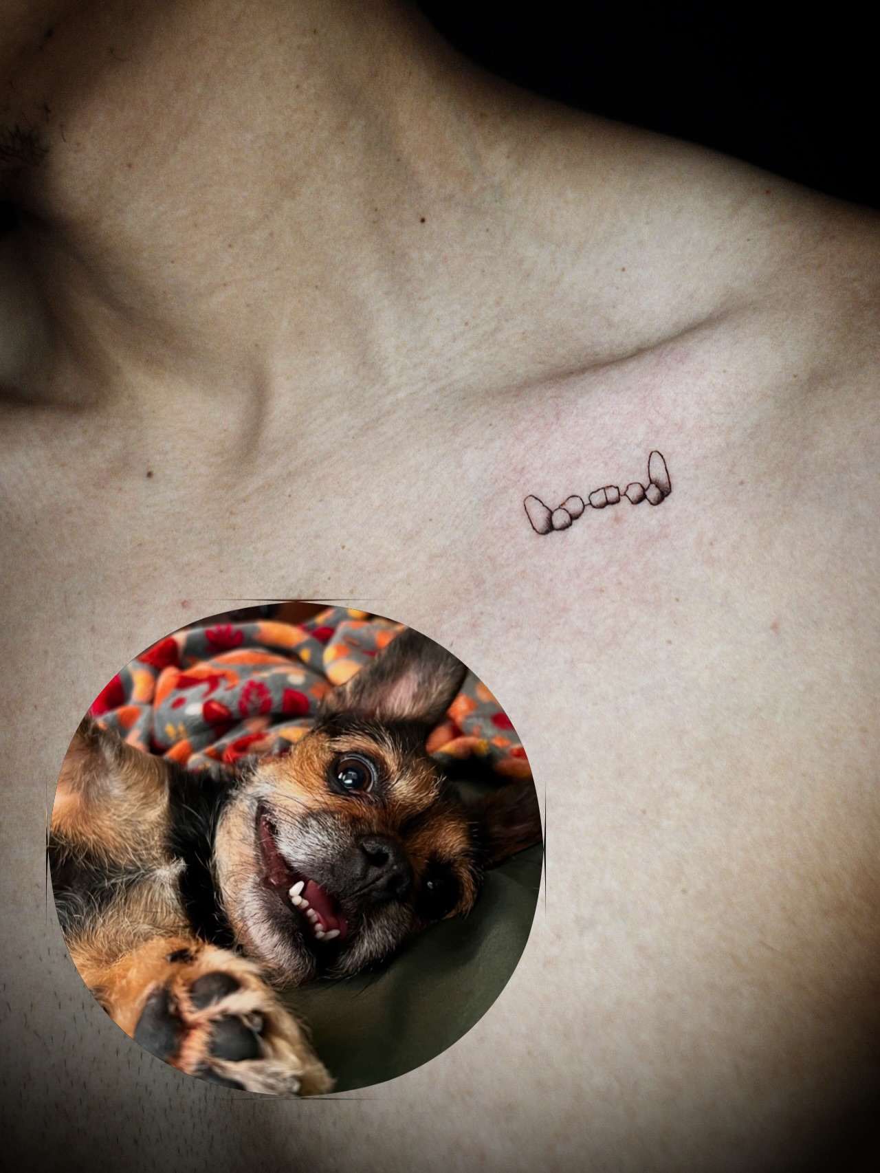 Dog paw print dotwork tattoo on the chest by Kanya, Alhambra, California