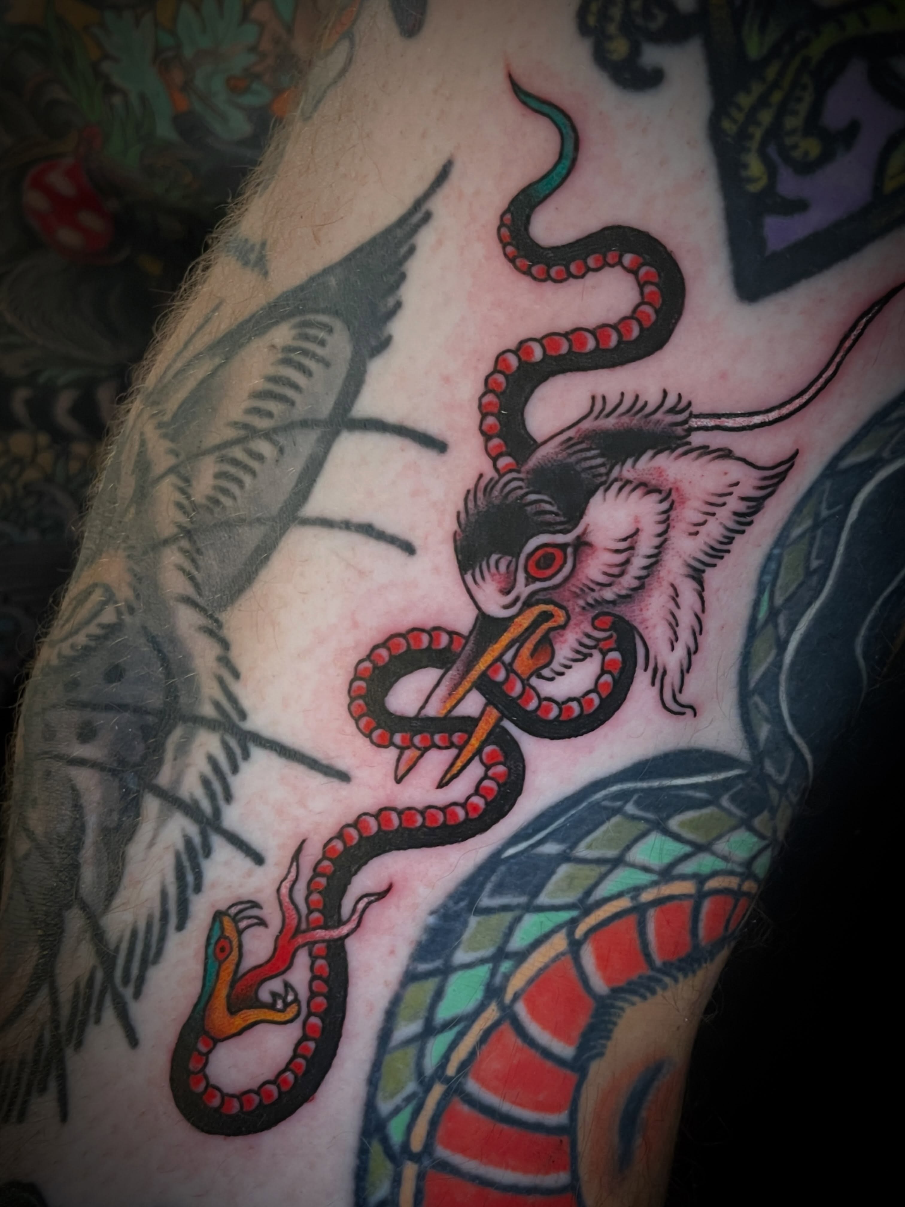 Bird and snake American traditional tattoo on the forearm by Nick Wallin