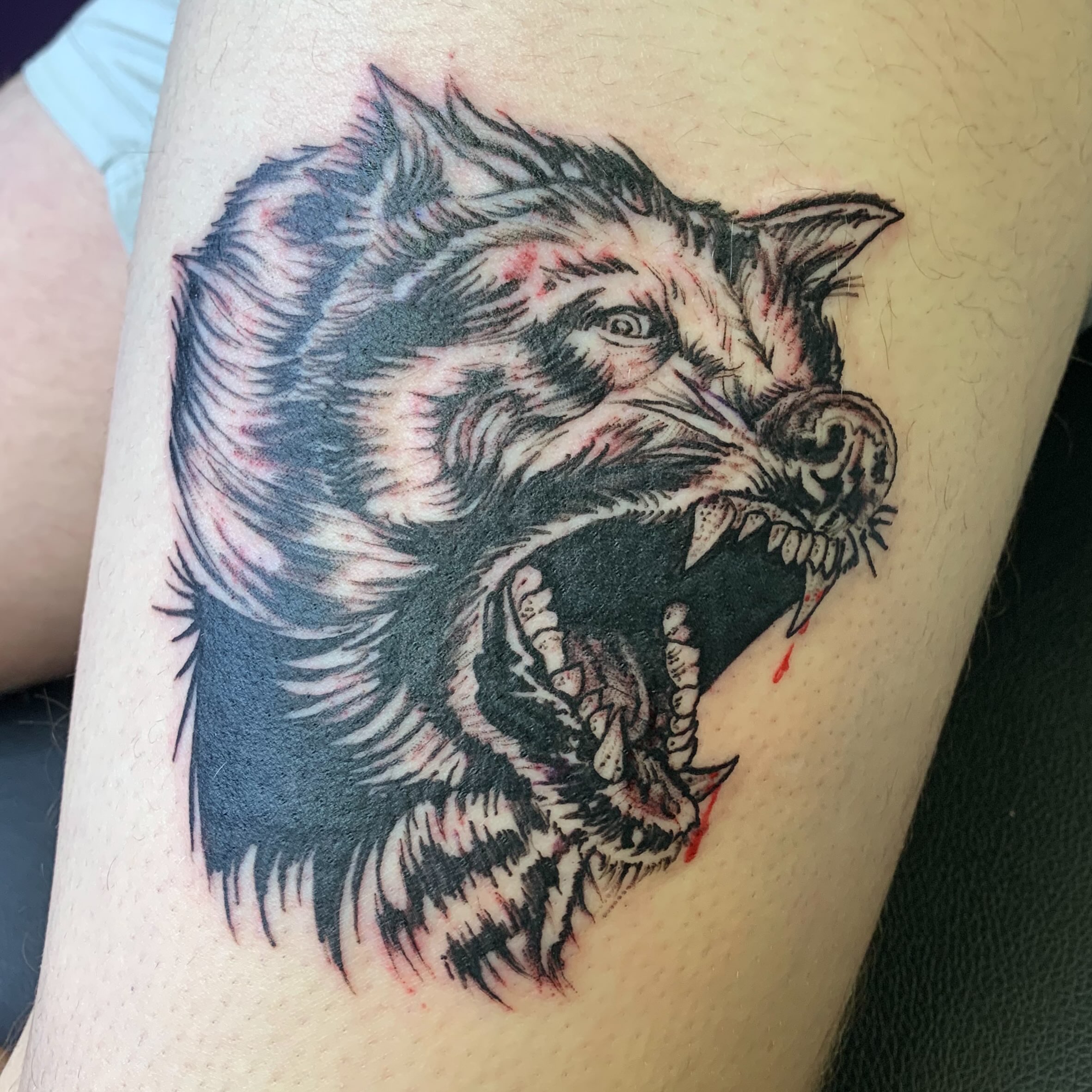 Raccoon realism tattoo on the forearm by El Kapitan