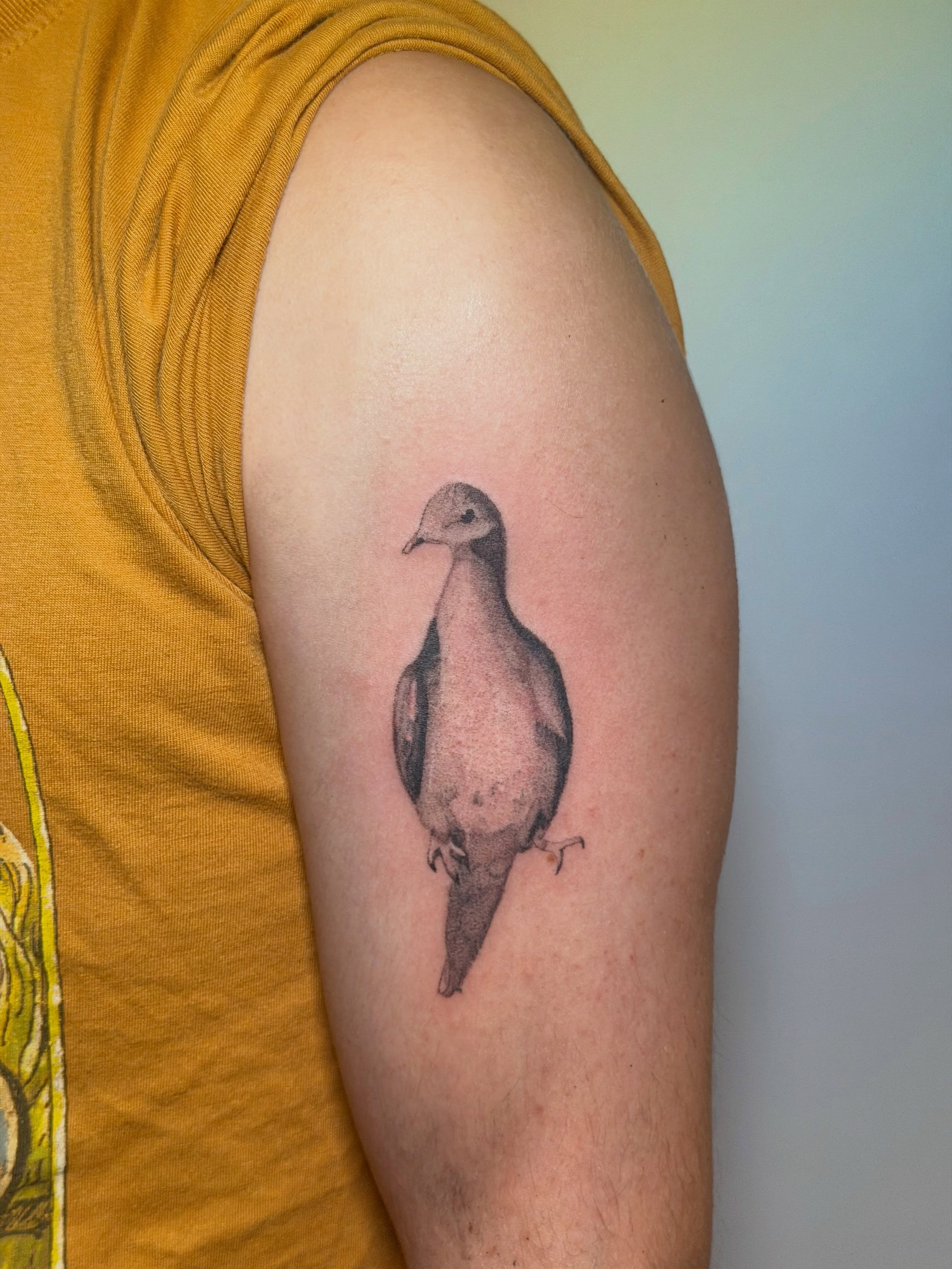 Bird realism tattoo on the upper arm by Alaska