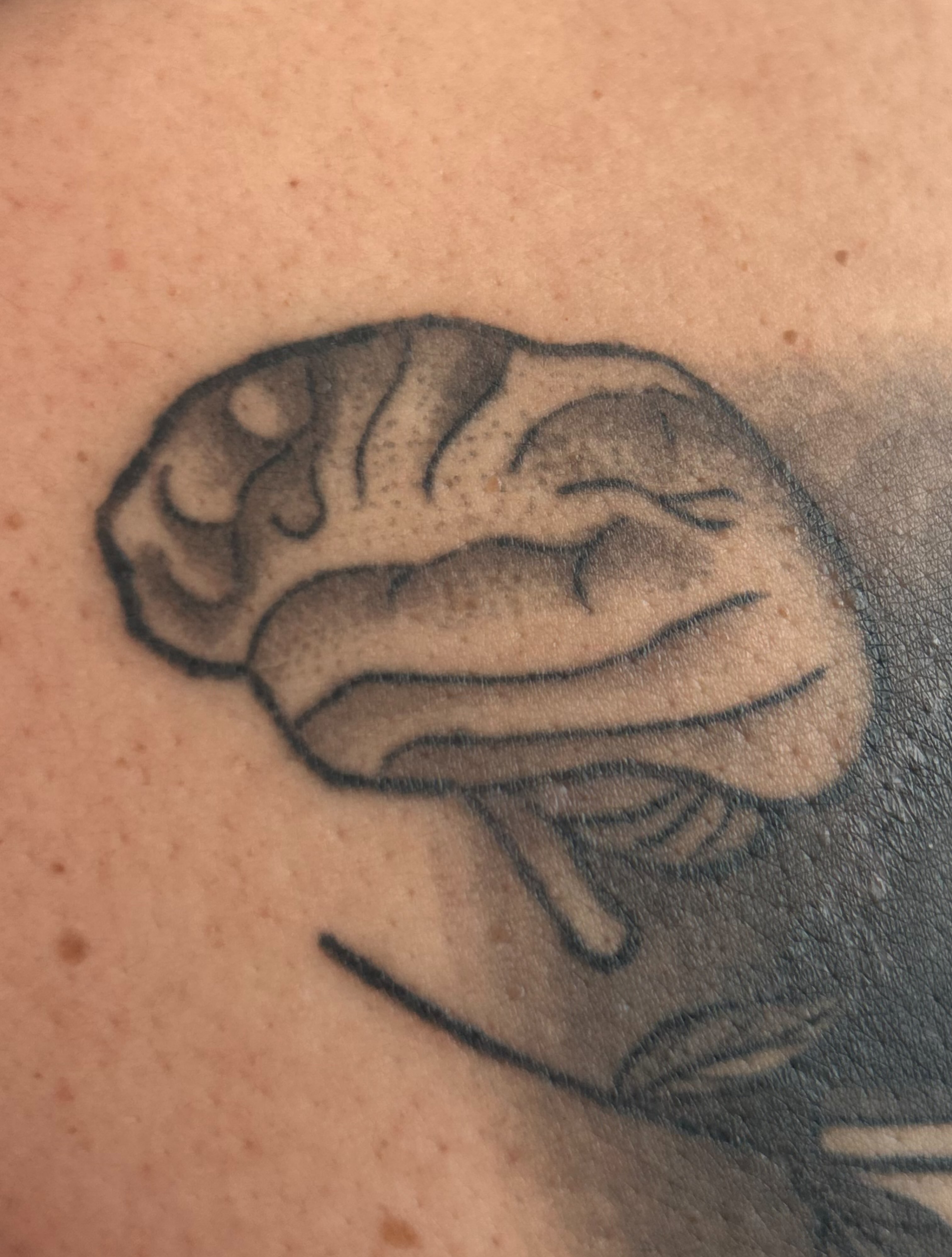 Tattoo by @enemytattoo — black_and_grey