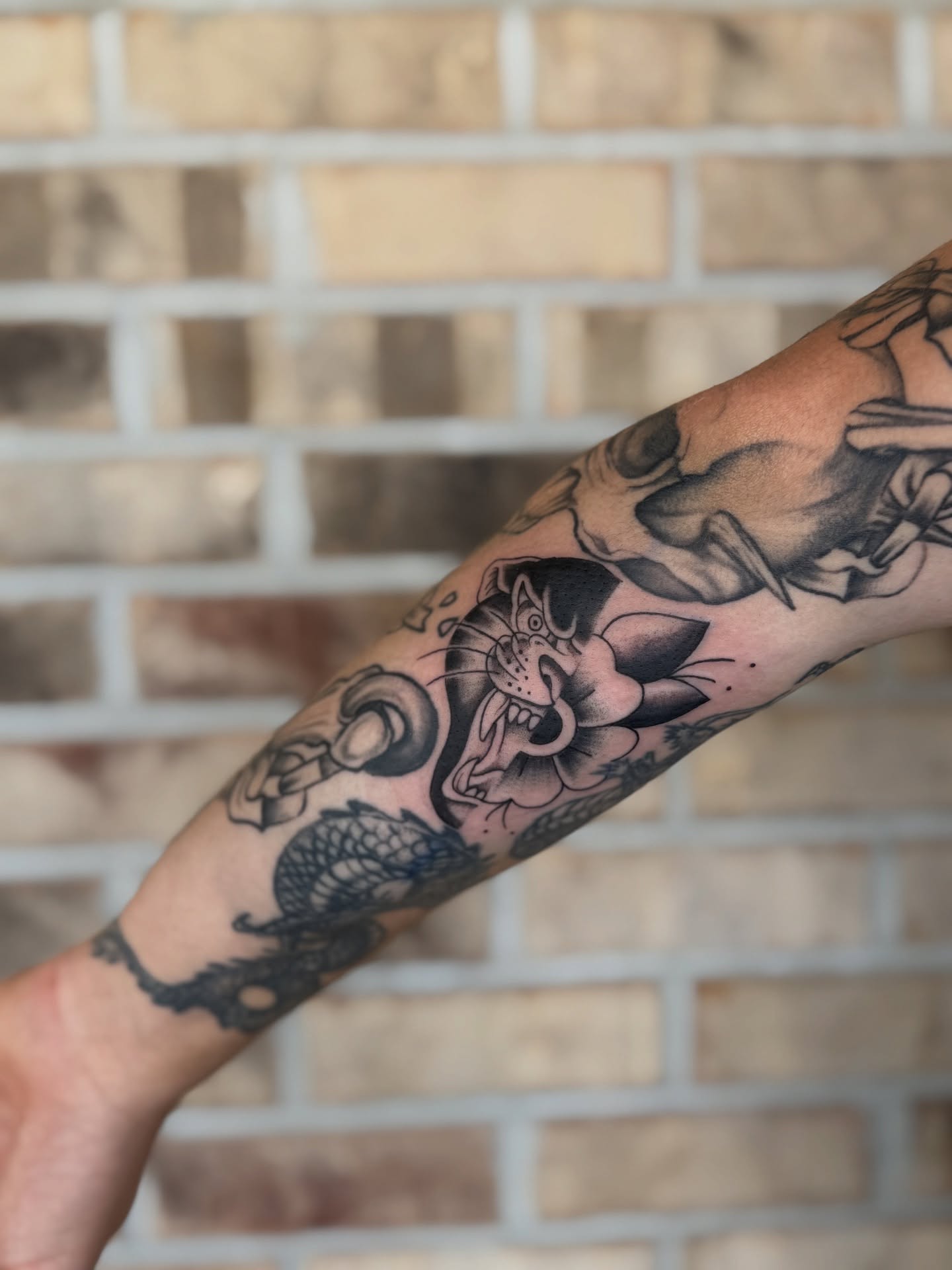 Cat and flower American traditional tattoo on the forearm by Storm