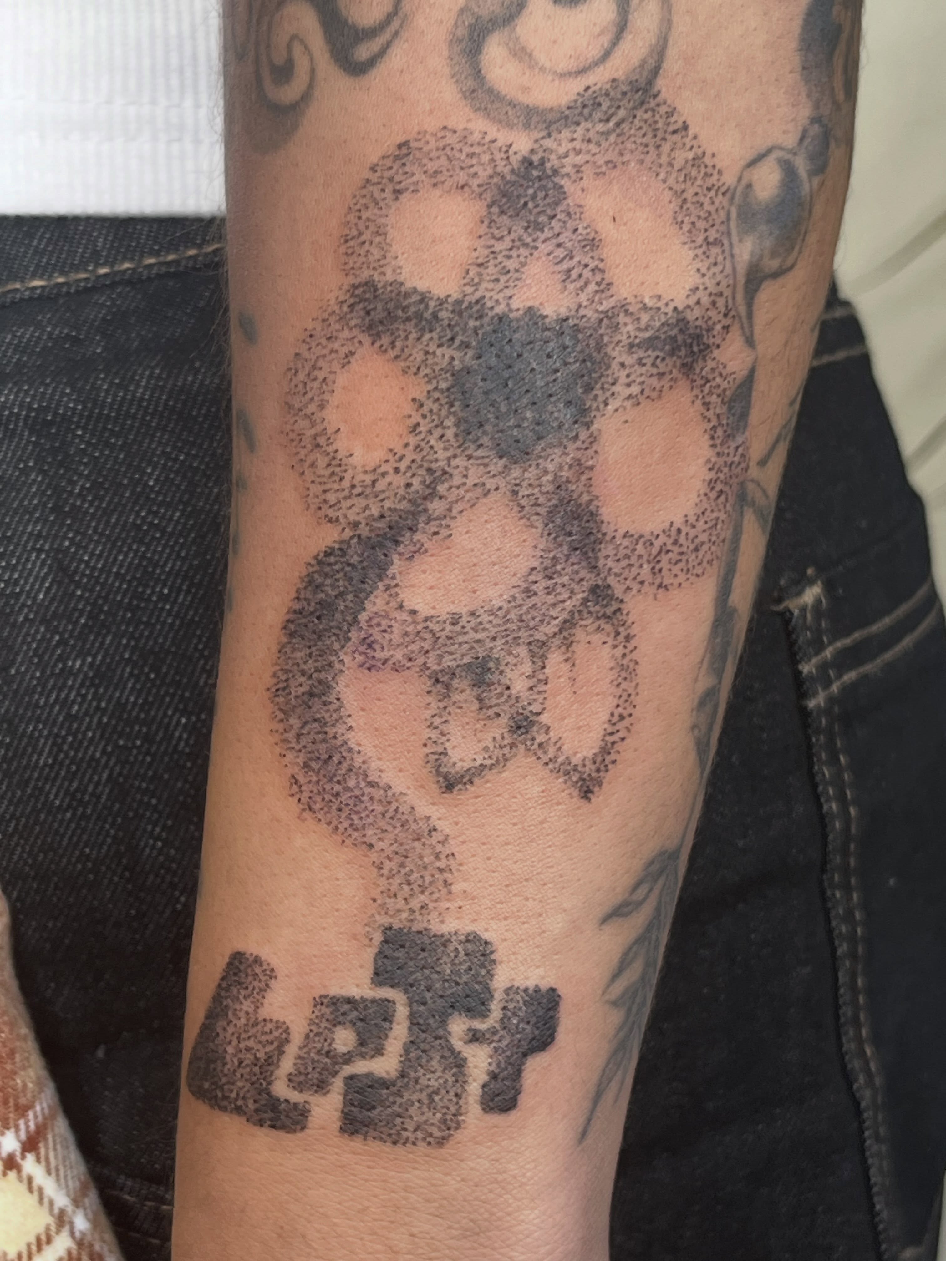 Skull dotwork tattoo on the forearm by luce elias :
