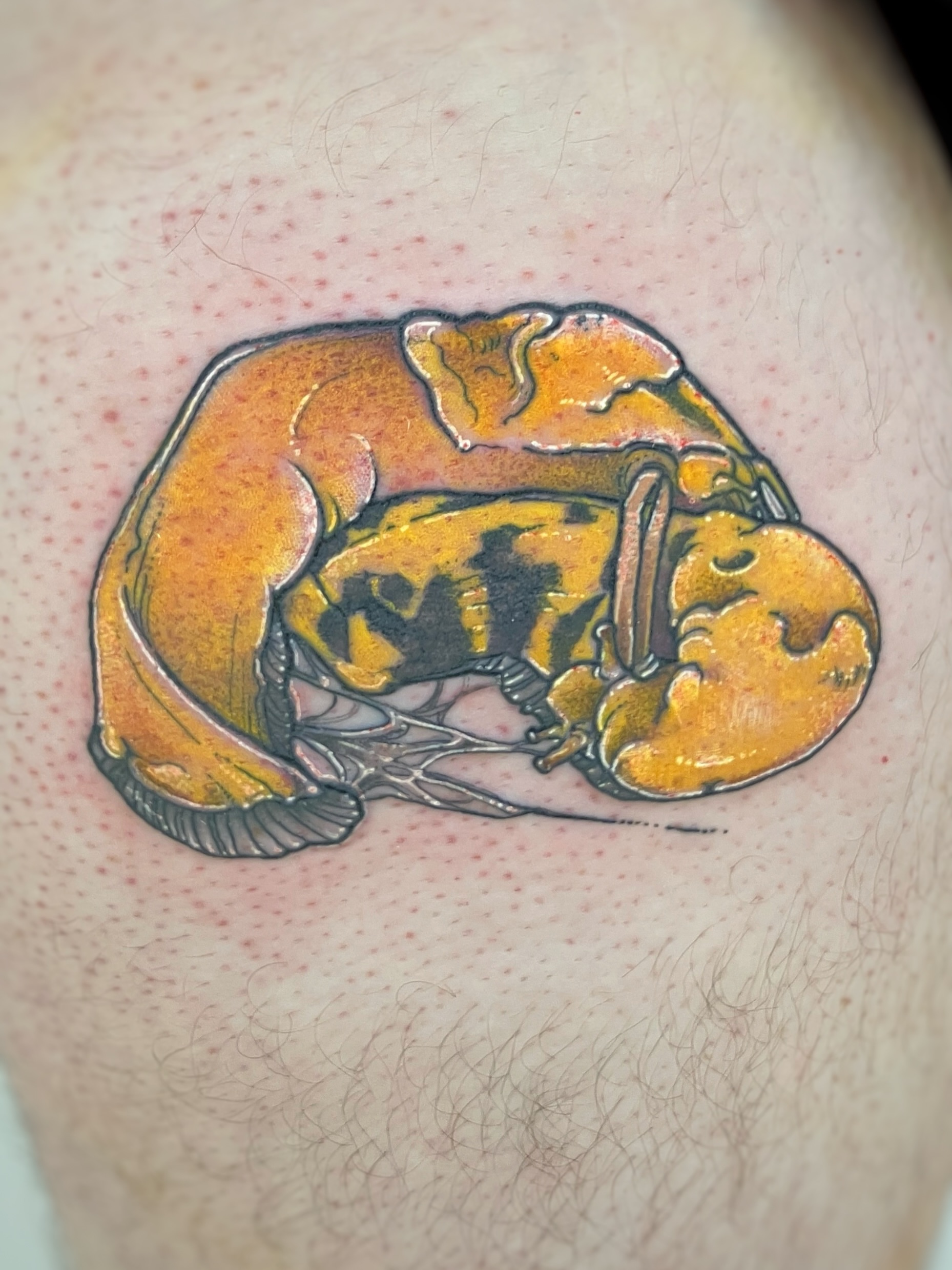 Tattoo by @joyinsorrowtattoo — realism