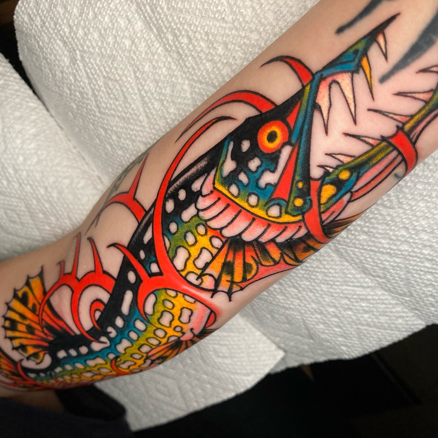 Fish American traditional tattoo on the forearm by 🌴Nick Hetzel🌴, Saint Petersburg, Florida