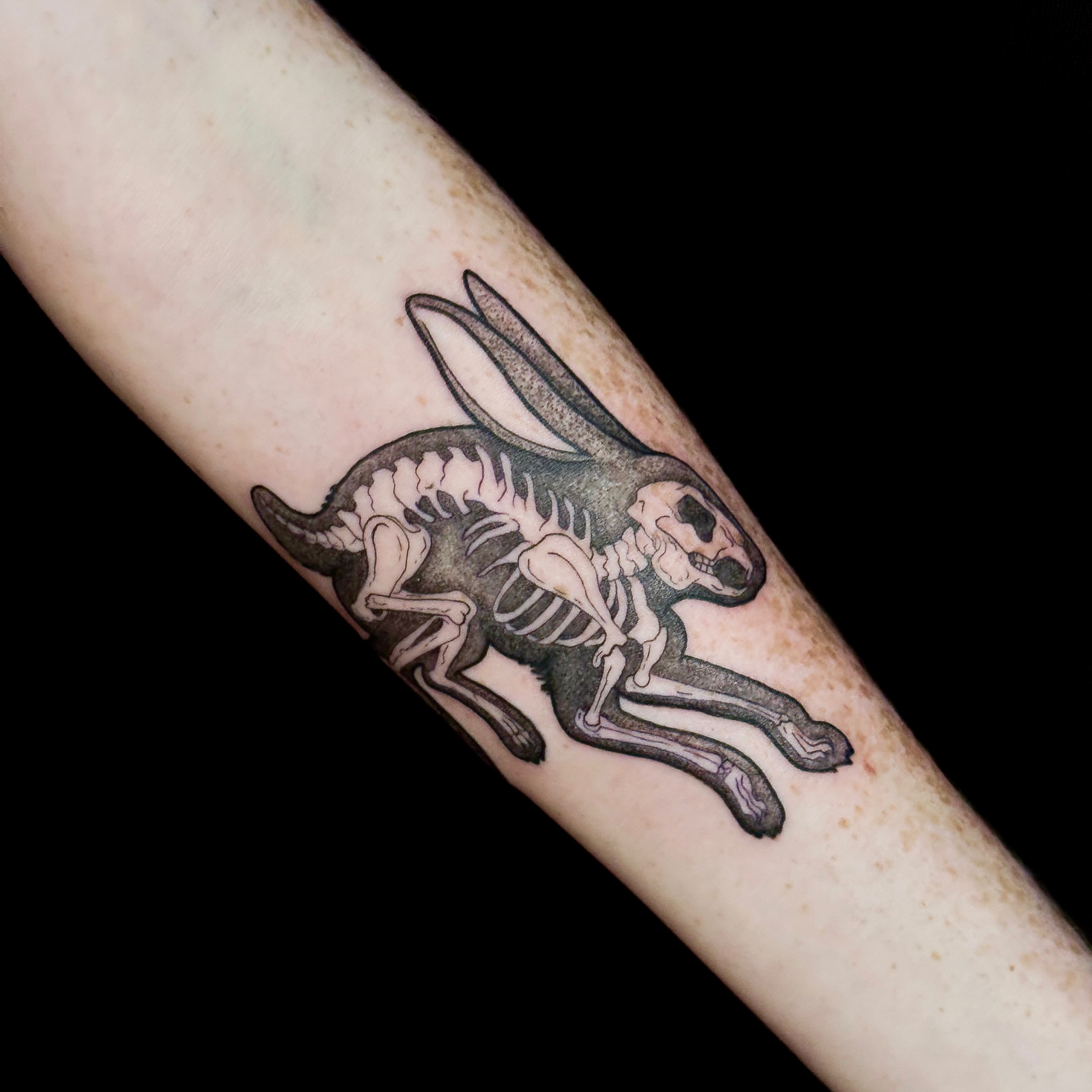 Rabbit skeleton black and grey tattoo on the forearm by Sarah Sacco