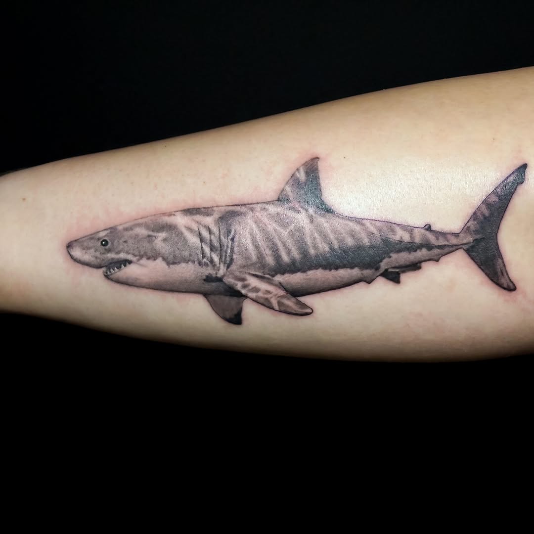Great white shark realism tattoo on the forearm by Sarah Sacco