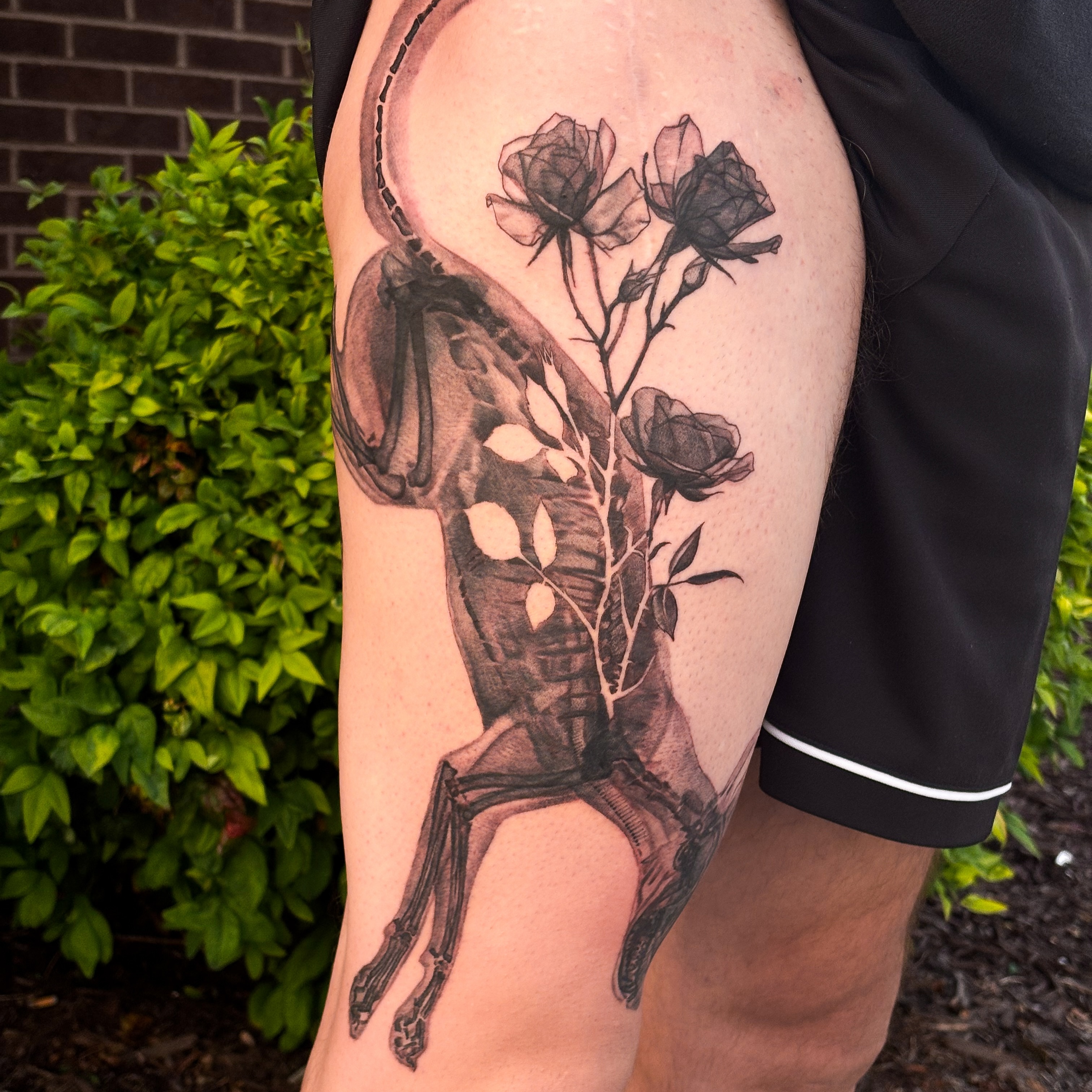 Tattoo by @songsparrowink — black_and_grey, realism
