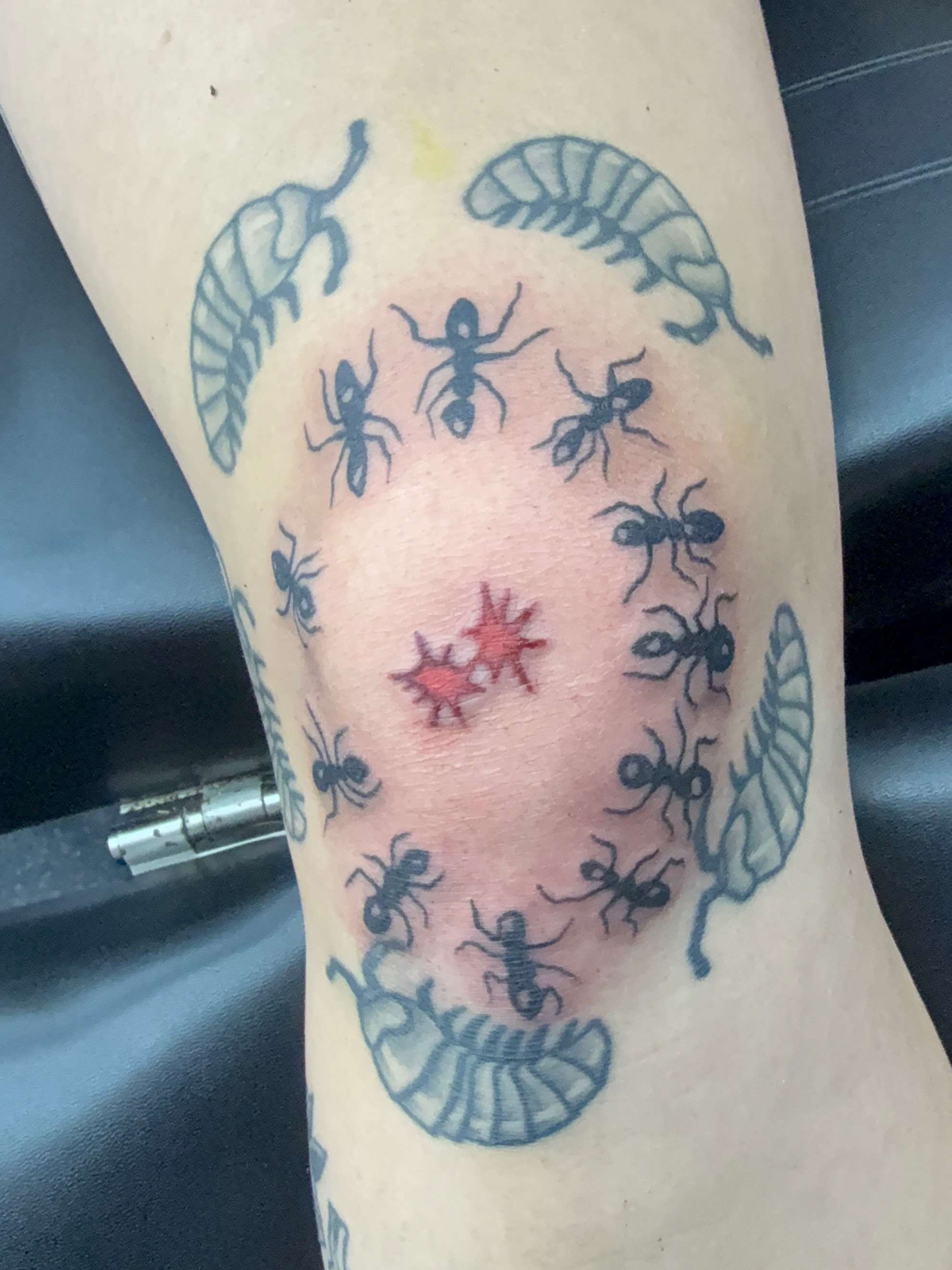 Tattoo by @toots_tattoos β neo_traditional, dotwork