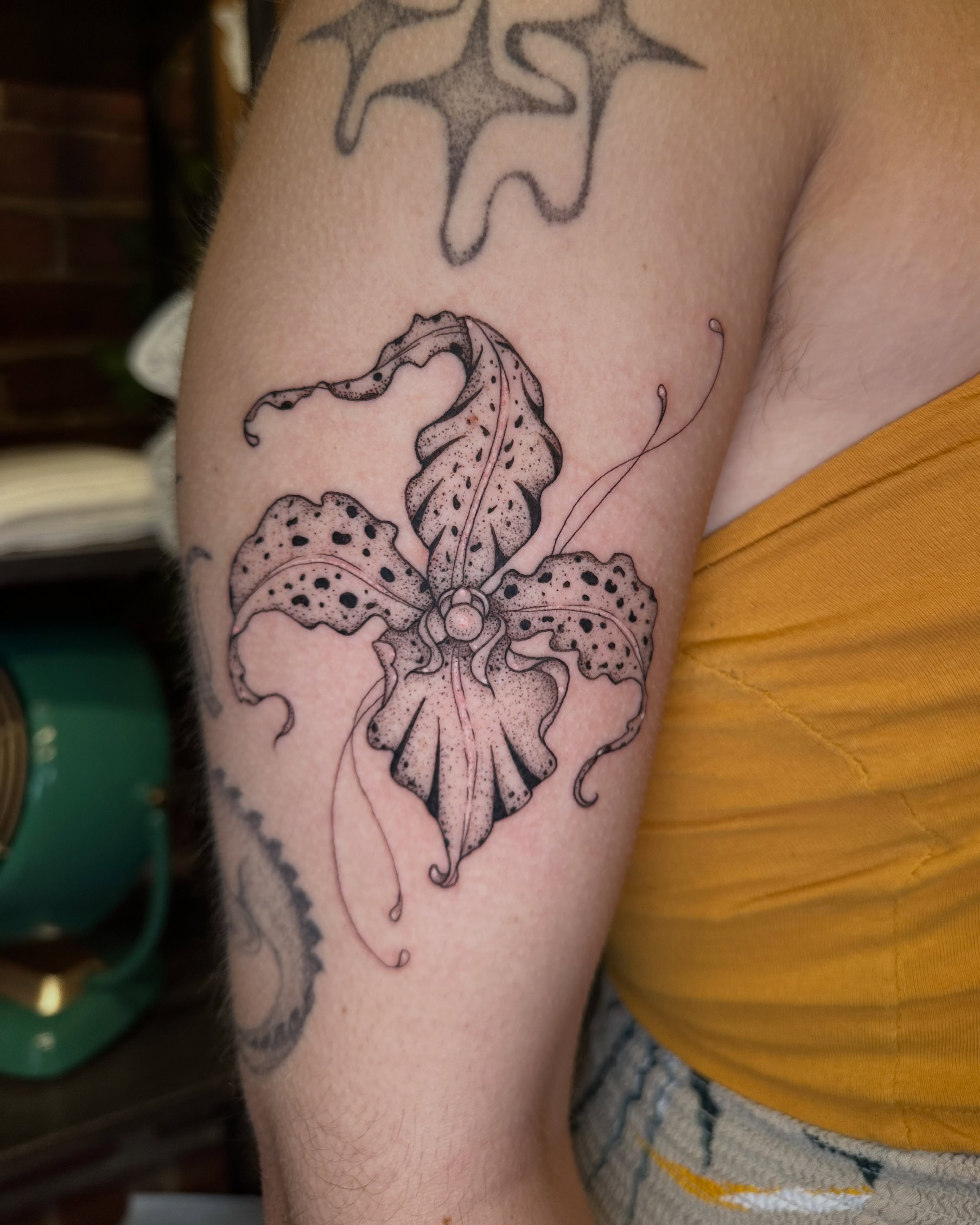 Tattoo by @gnarlaur_tattoos — dotwork