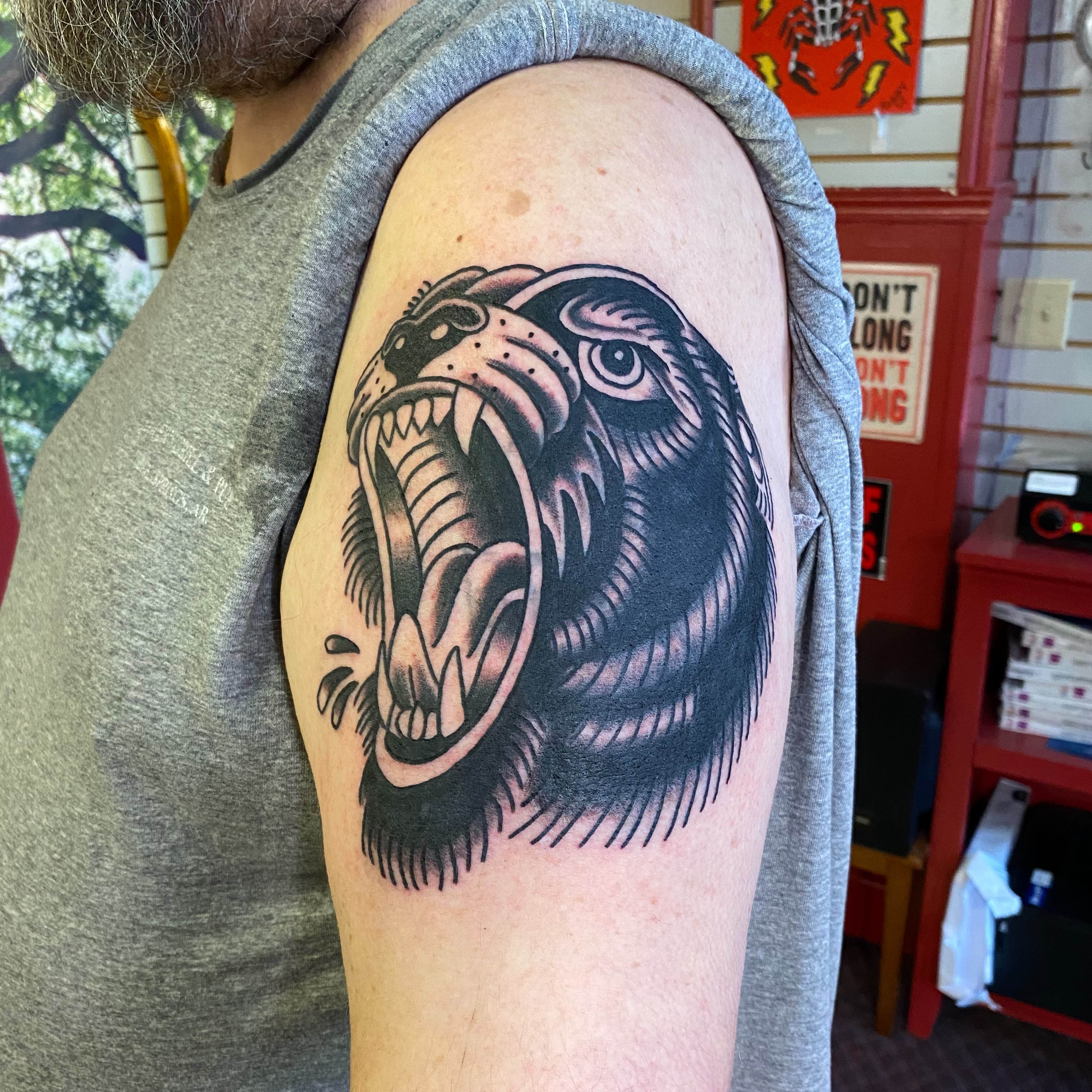 Bear American traditional tattoo on the shoulder by Tommy O'Connell