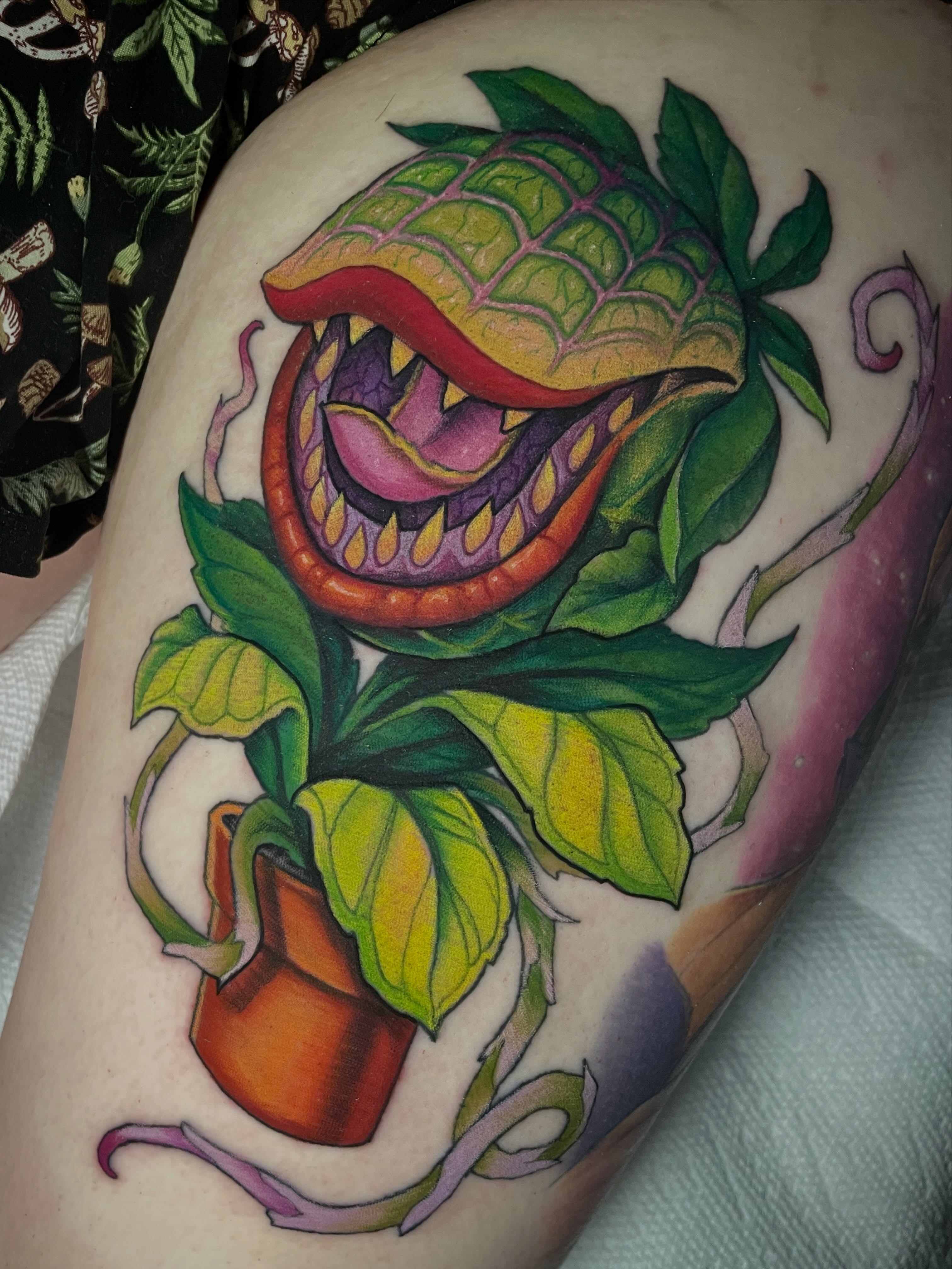 Venus flytrap new school tattoo on the thigh by Leah Marie, Cincinnati