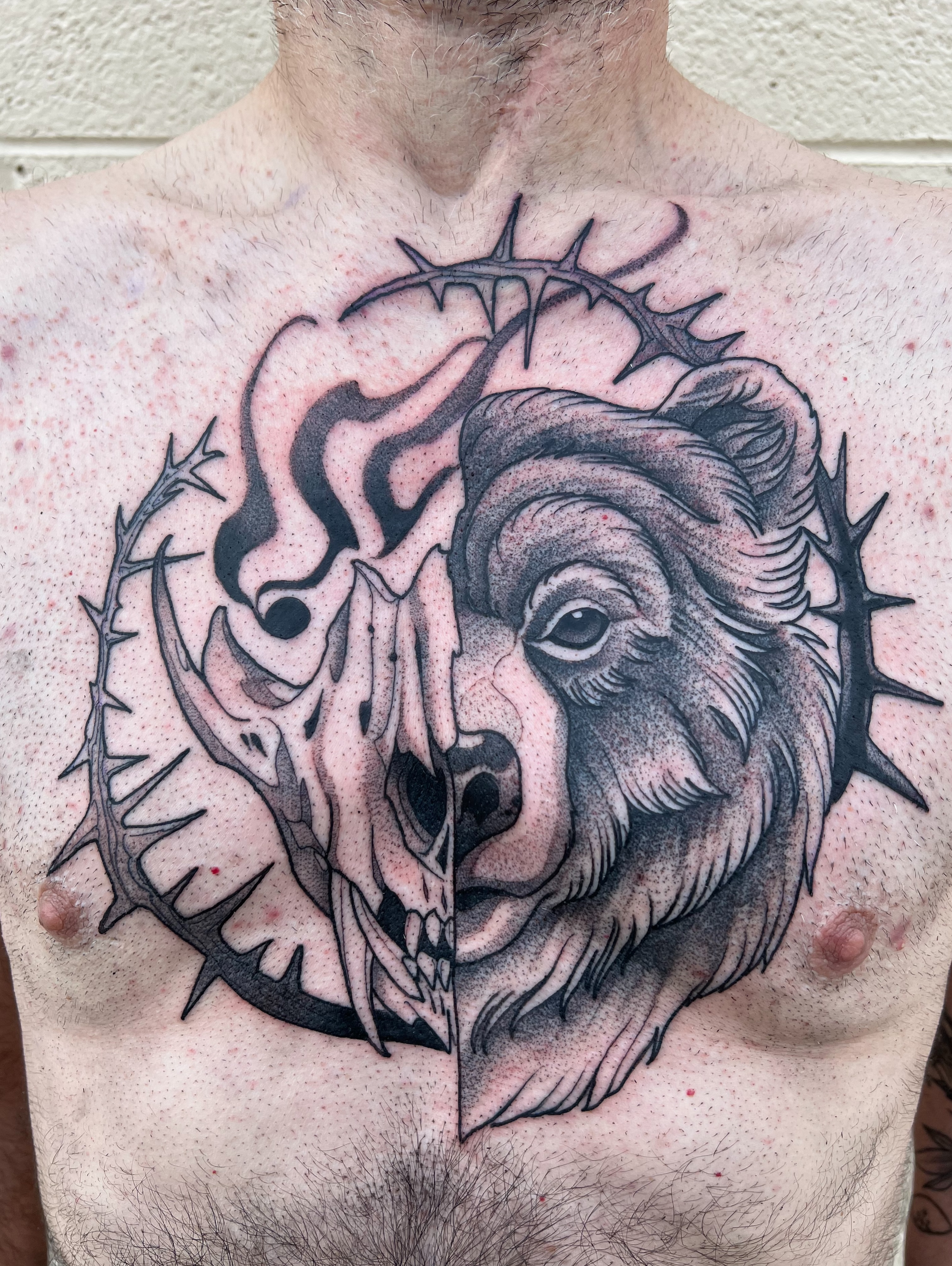 Bear skull realism tattoo on the chest by Nathan Garcia