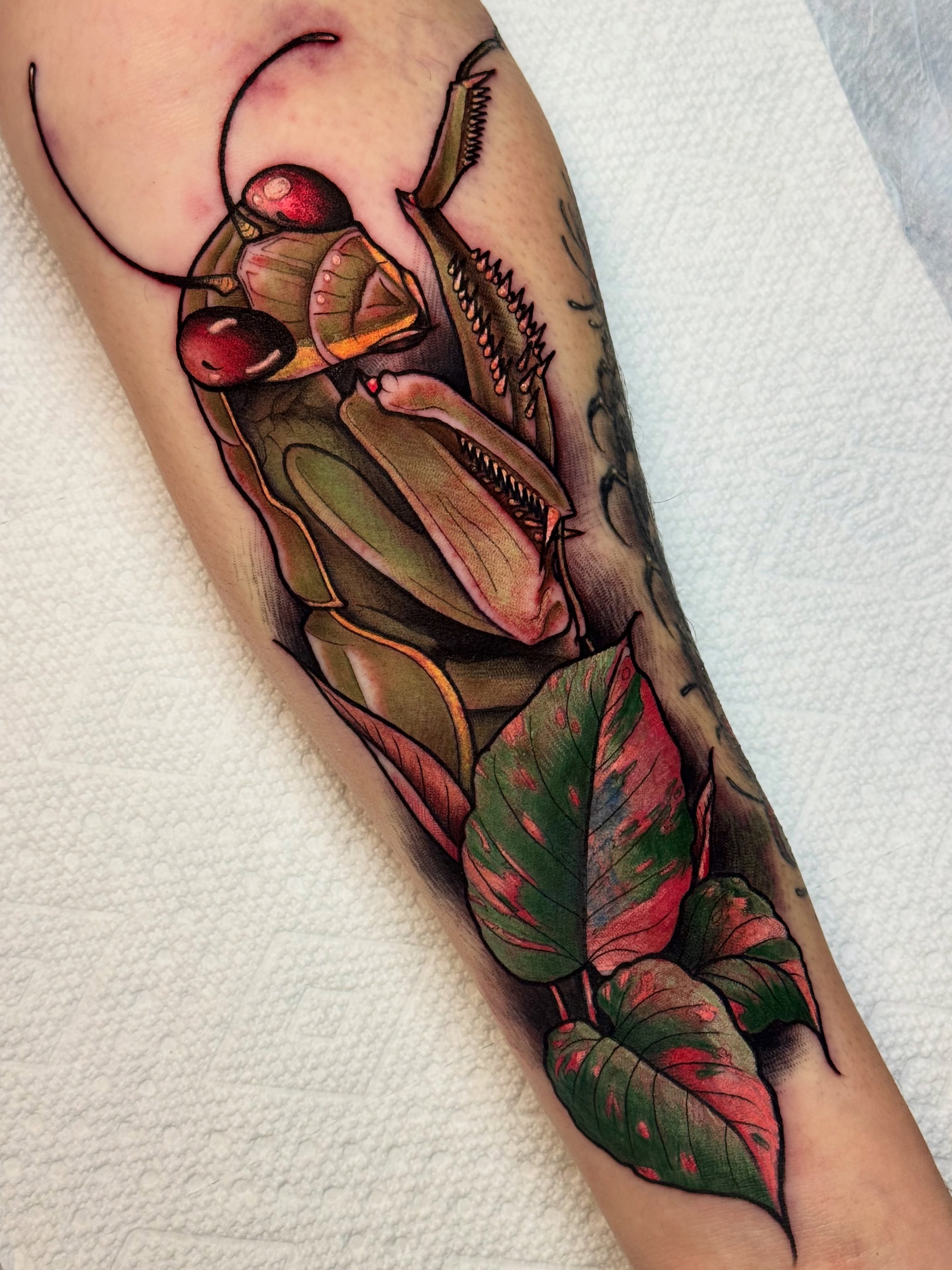 Tattoo by @themactatty — realism