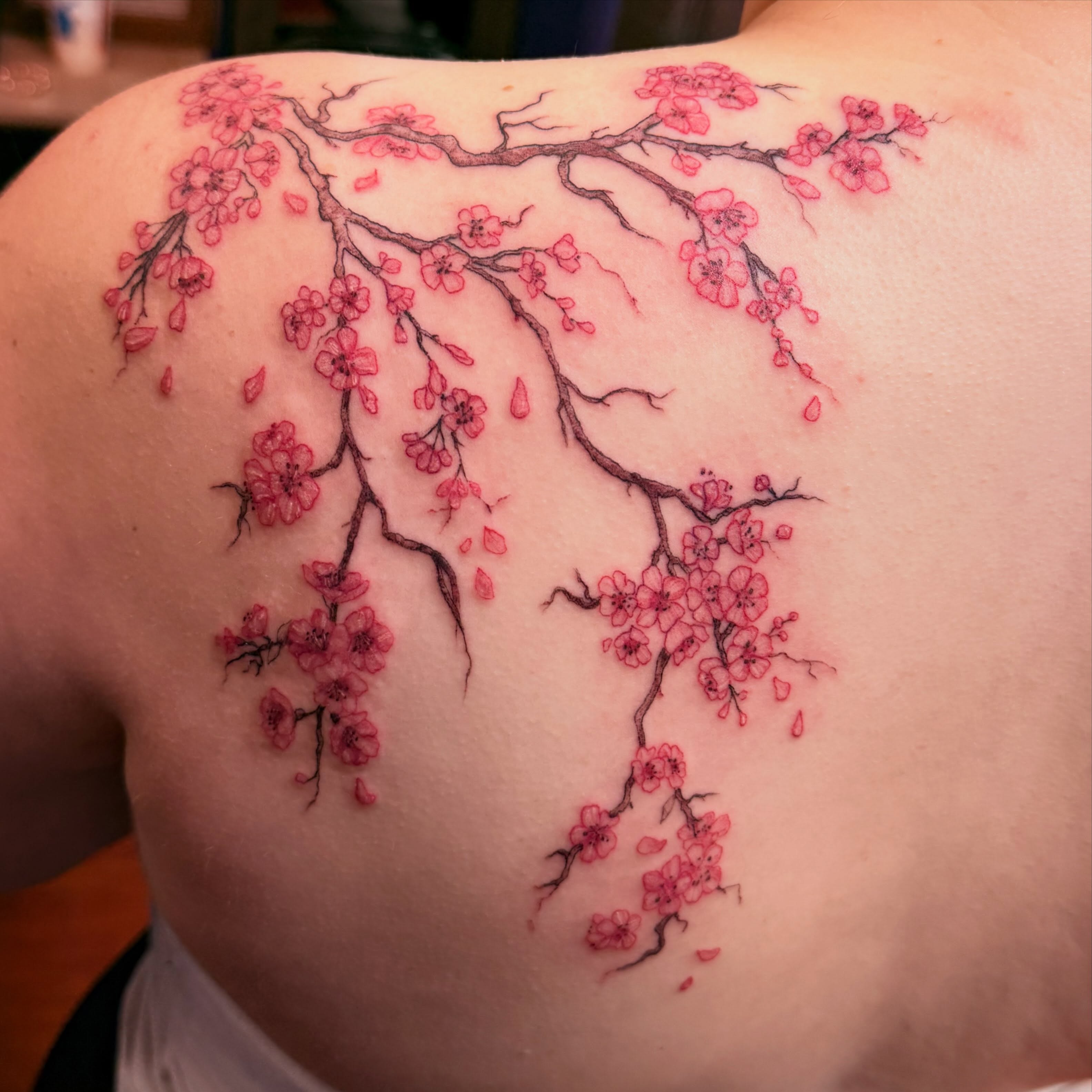 Cherry blossom dotwork tattoo on the shoulder by Tasha