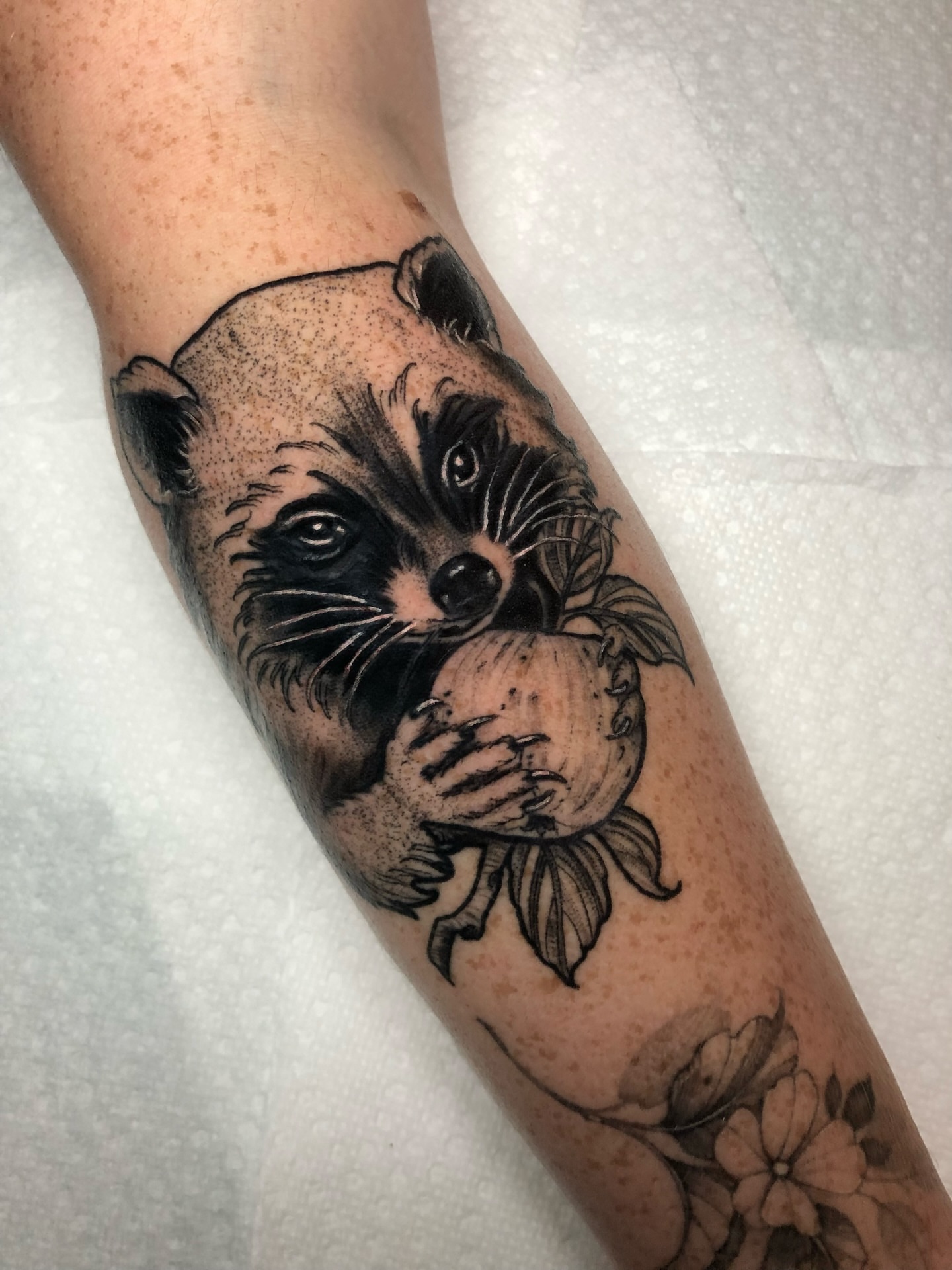 Raccoon holding peach dotwork tattoo on the forearm by Melissa Brown